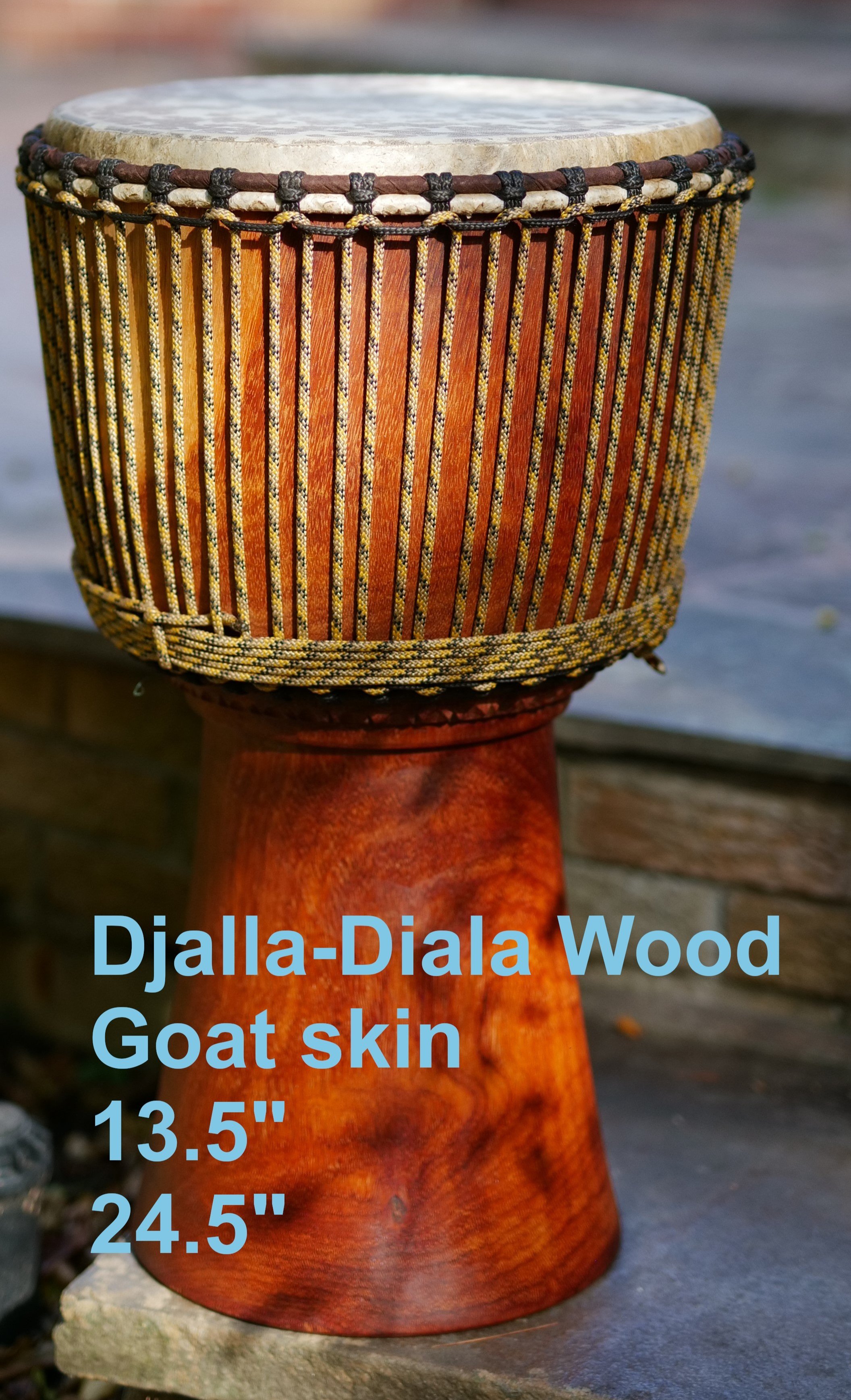 Djembe Drum 6
