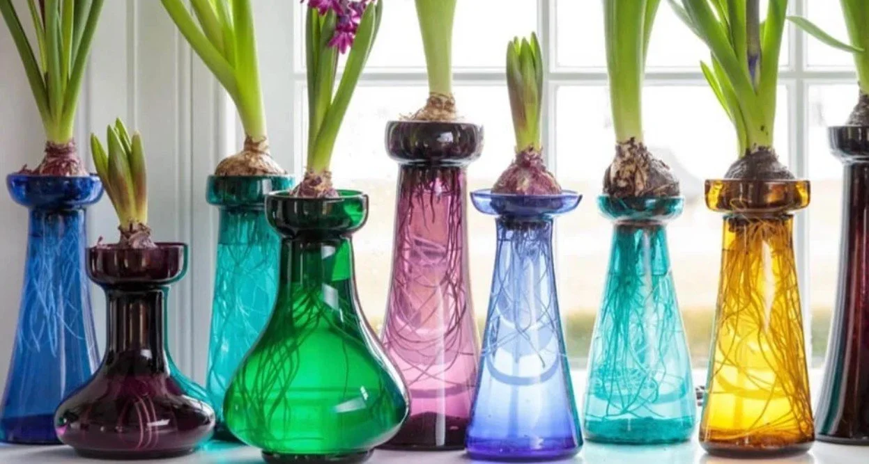 Art of Forcing Bulbs