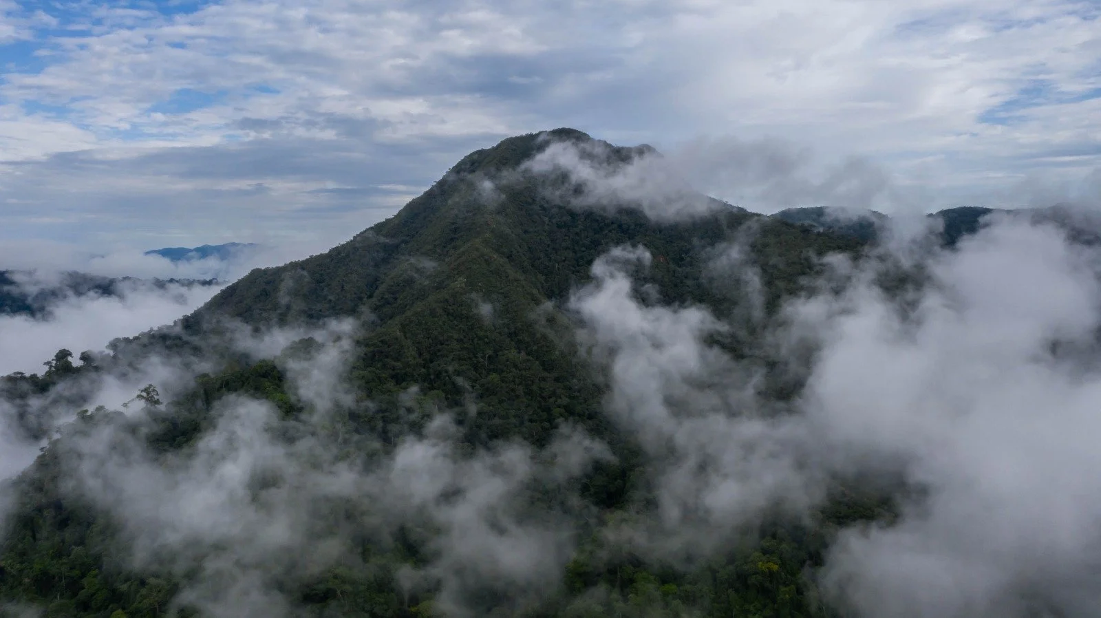 WhatsApp Image 2023-10-25 at 00.29.08.jpg