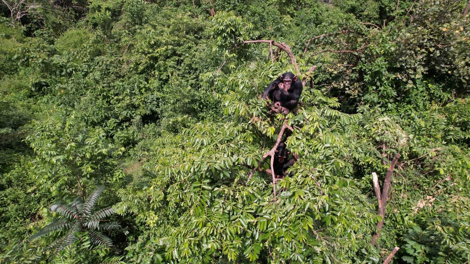 WhatsApp Image 2024-04-29 at 22.51.48.jpeg