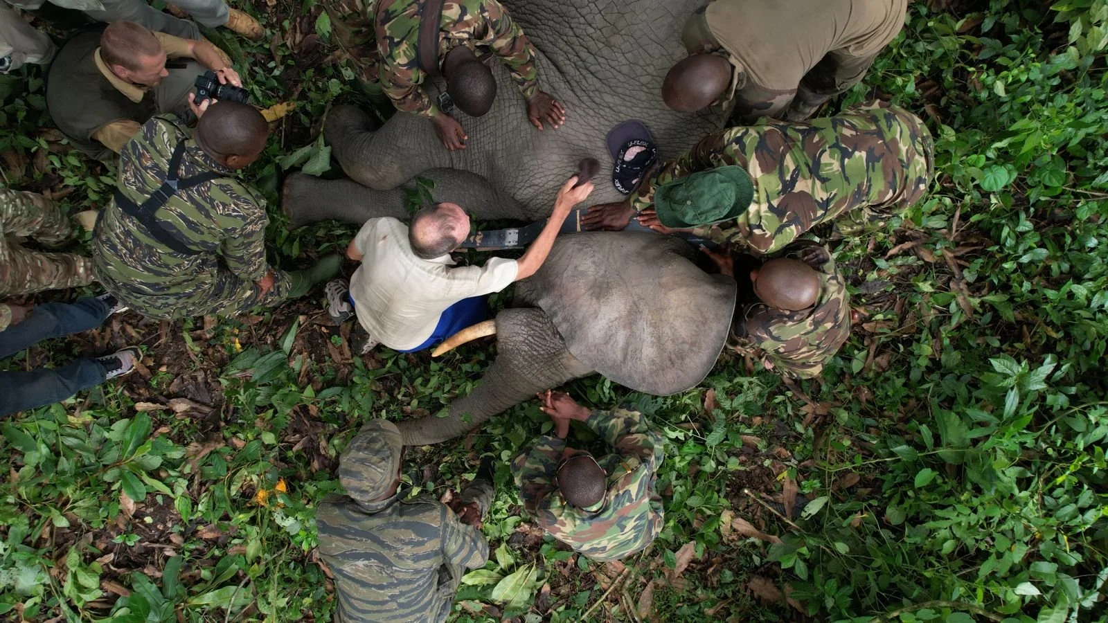 WhatsApp Image 2024-04-29 at 22.51.48 (1).jpeg