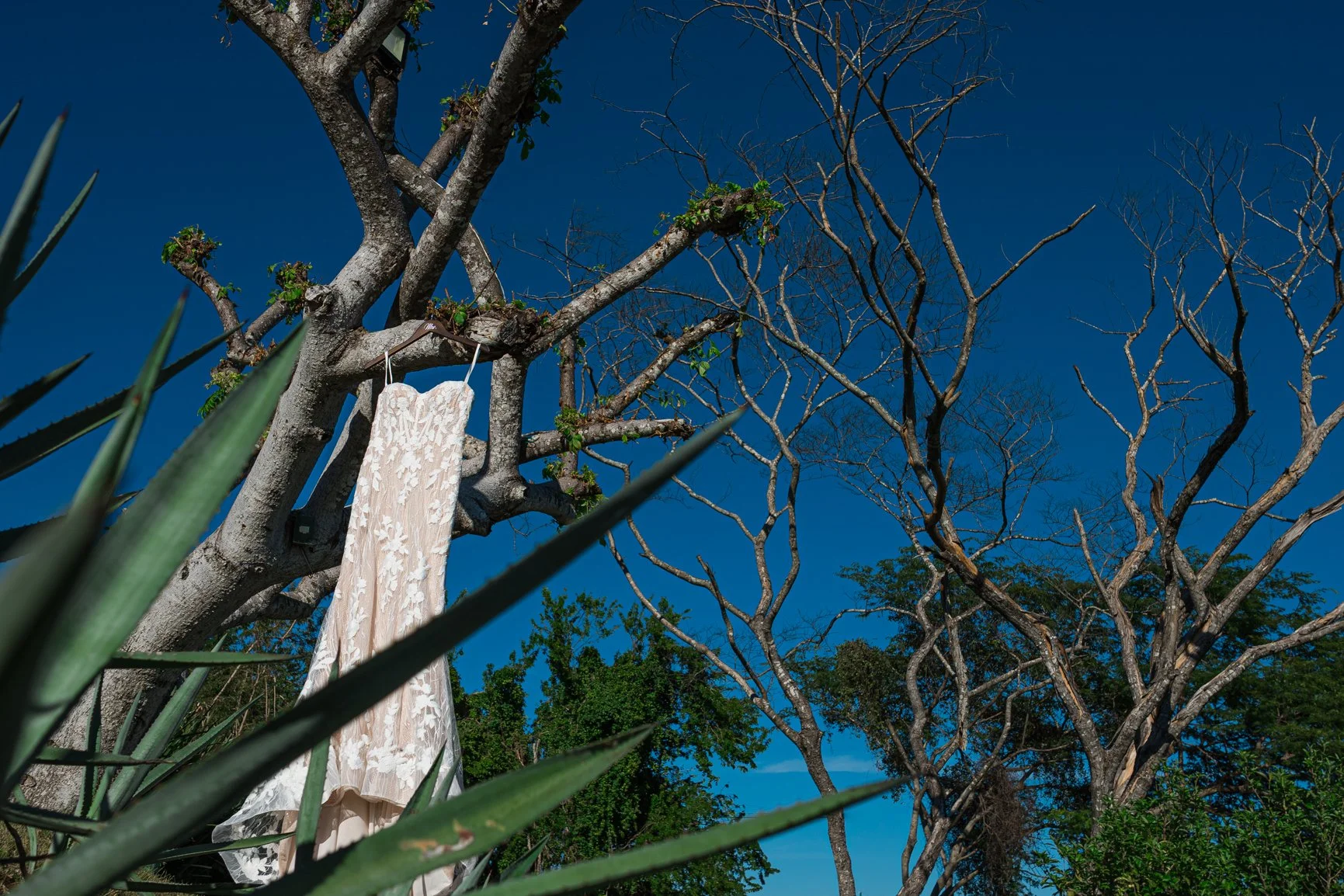 Wedding dress detail at Tizate Garden in La Cruz de Huanacaxtle, Mexico.