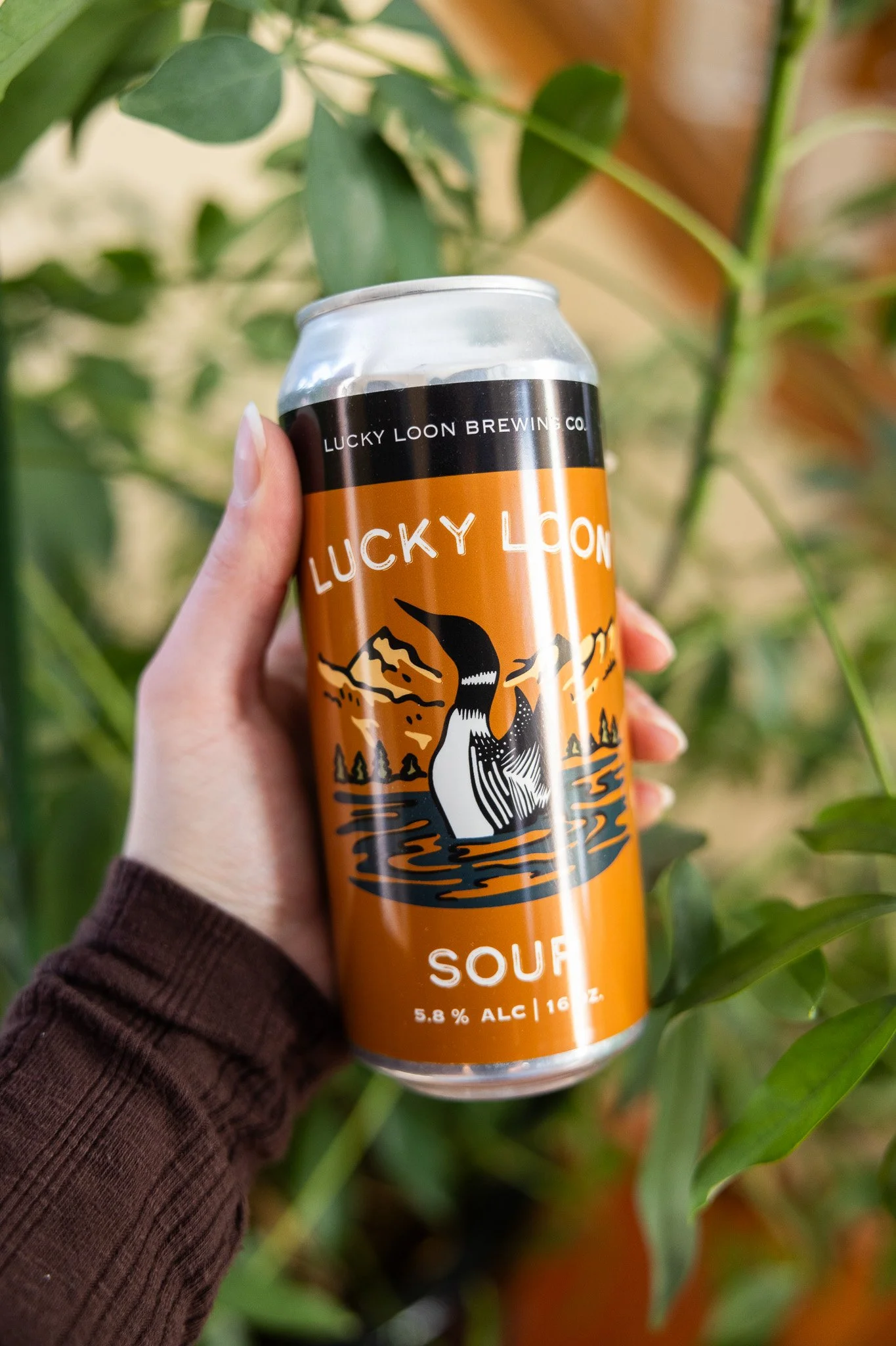 A person holding a can of Lucky Loon Brewing Co.'s Sour beer with an illustration of a loon and mountains on the label, outdoors among green plants.