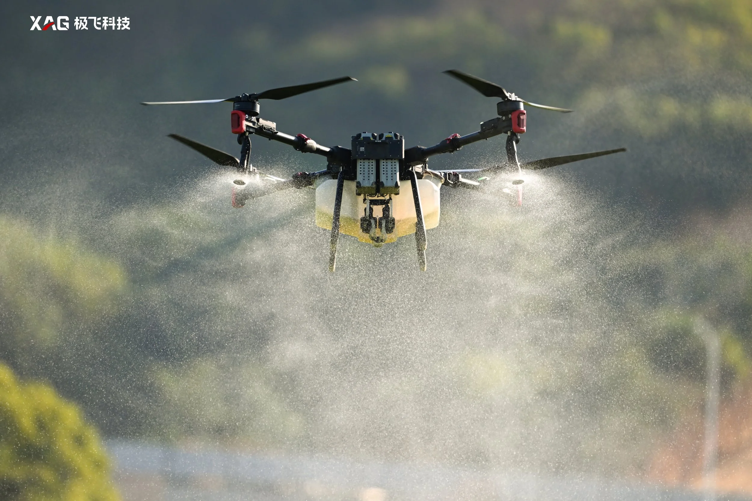 Services — Precision Ag Drones