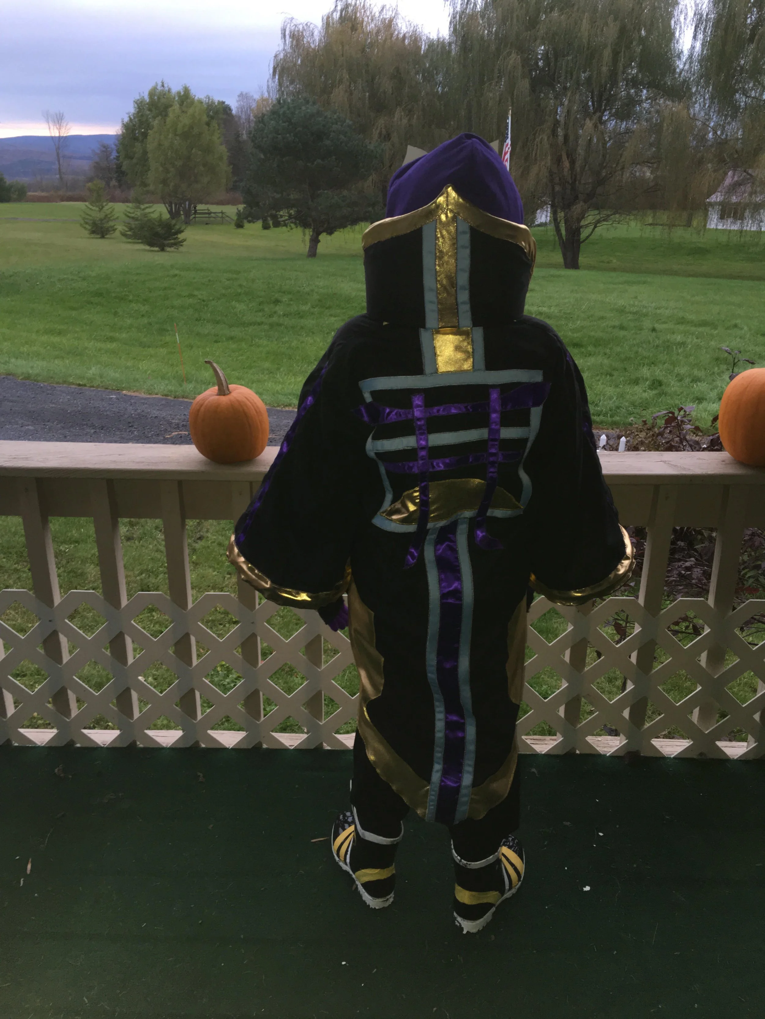 aiden halloween 1.jpg
