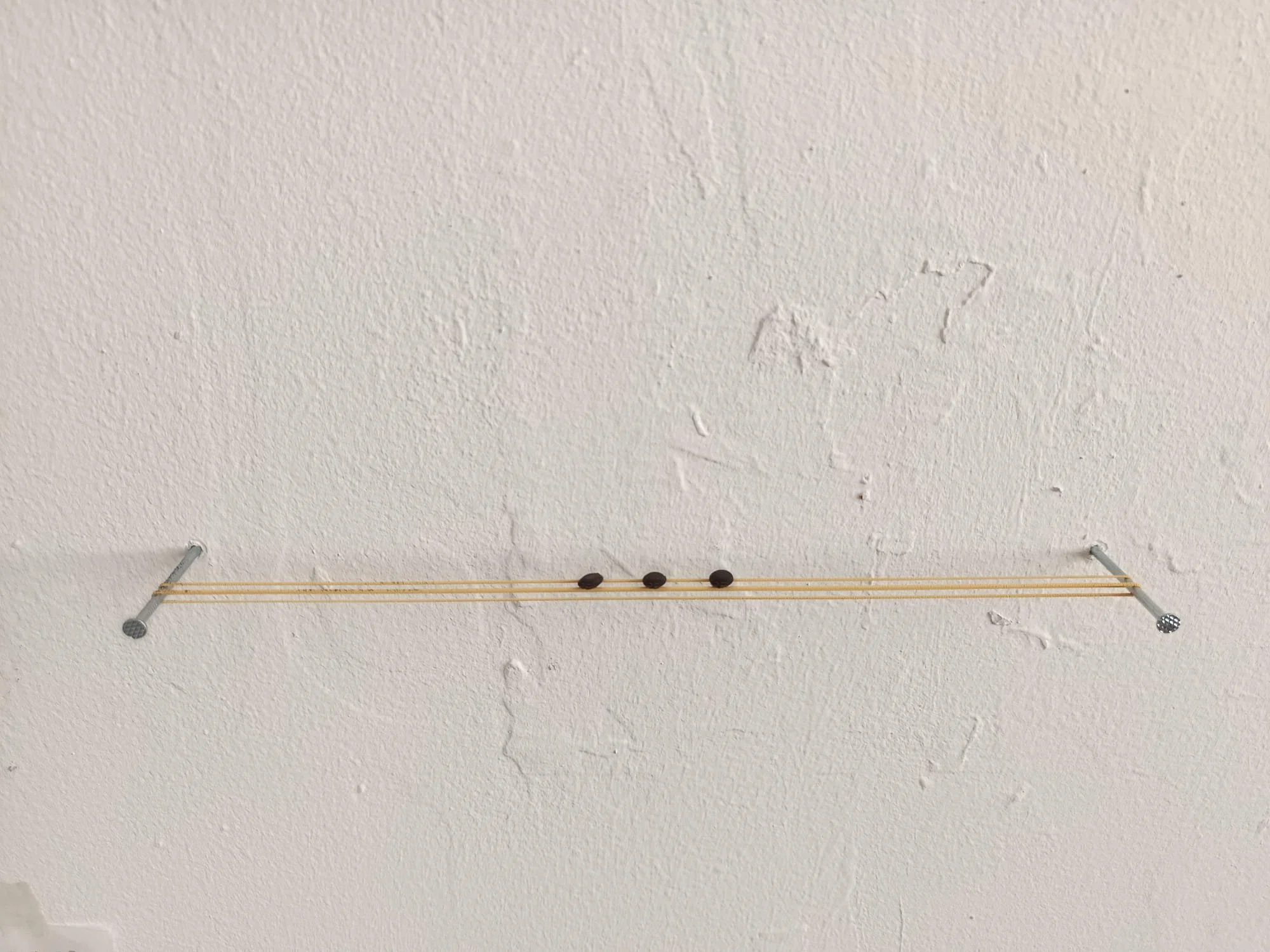 S/t. Instalación escultórica compuesta - Clavos, banditas elásticas, semillas - 2025