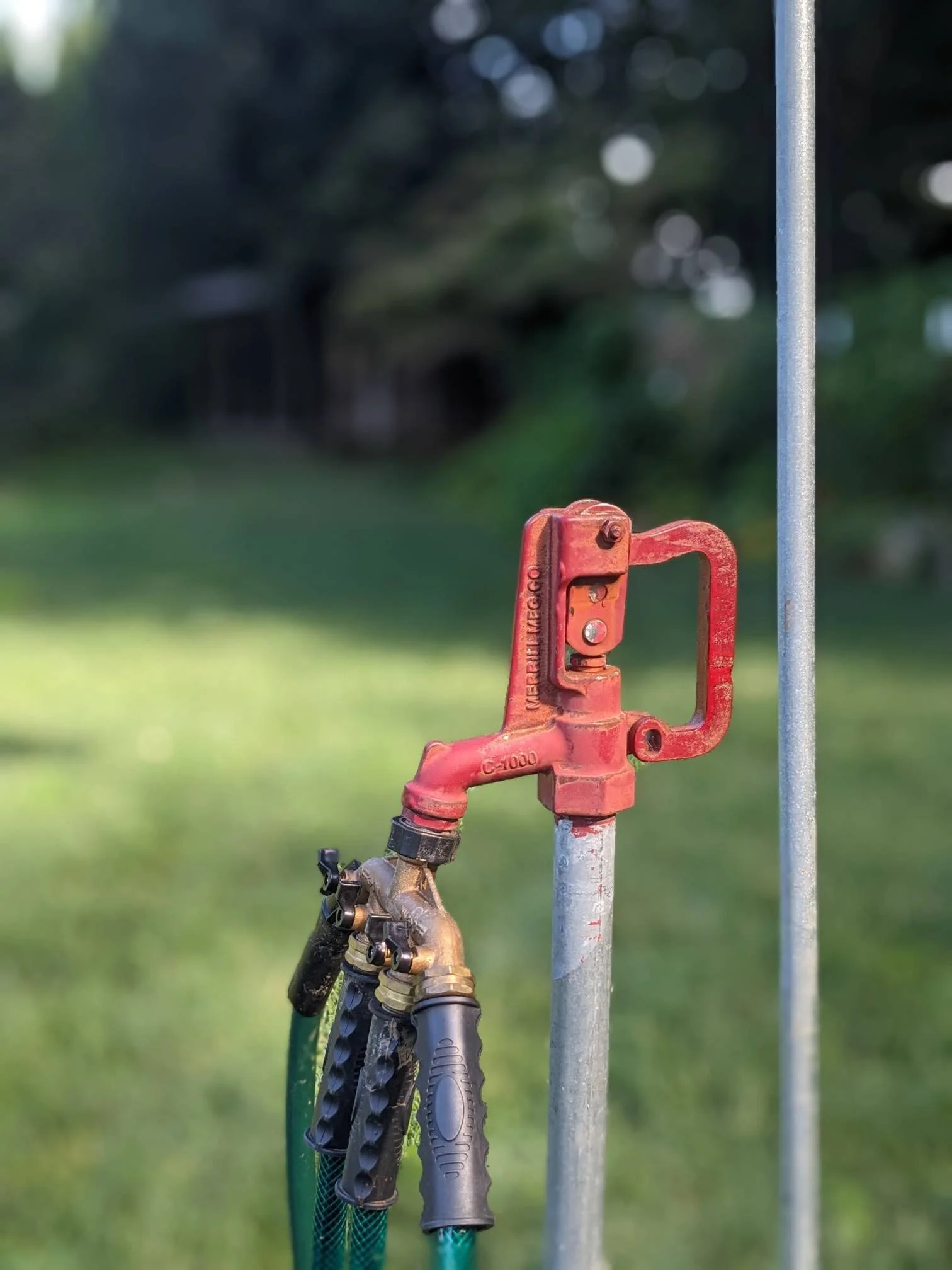 Outdoor scene with garden hoses and a red shut-off valve attached to a vertical metal pipe, with a blurred green background.