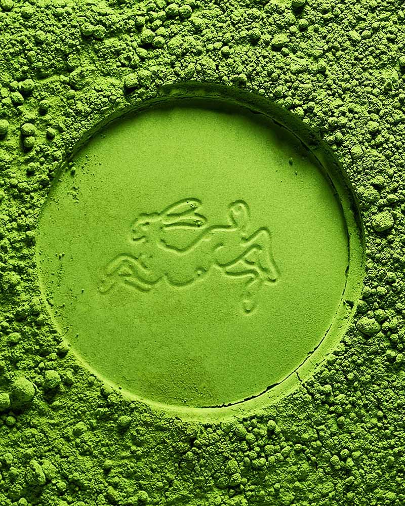 Rebel Bunny Matcha6860.jpg