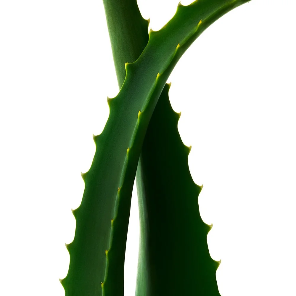 What expands a photography budget after approval