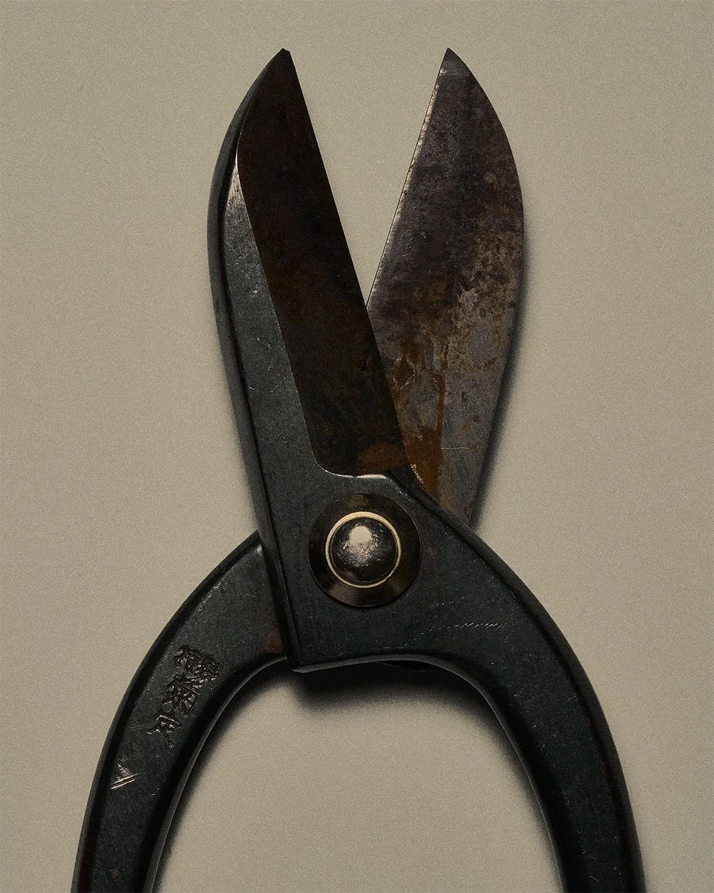 sara-anderson-0168-fall-still-life-japanese-shears.jpg