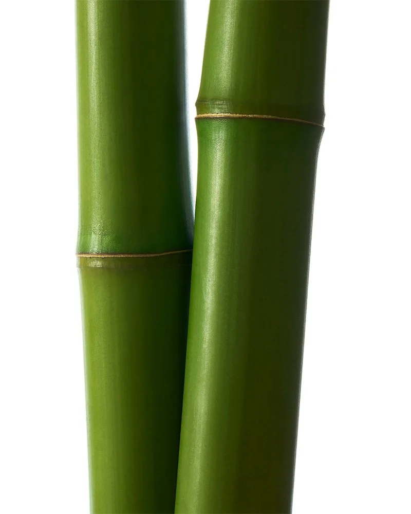 Versed 5540 bamboo.jpg