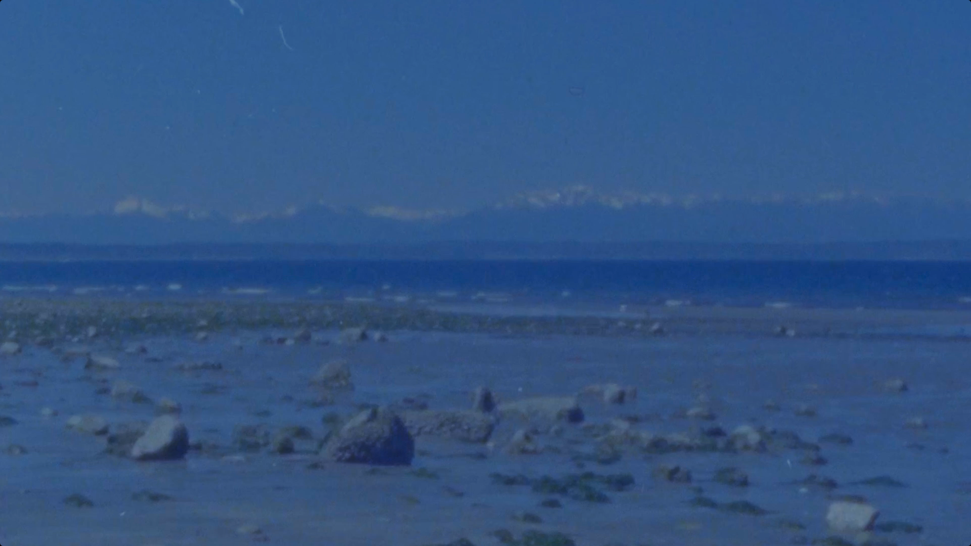 tidepool website background backup image.png