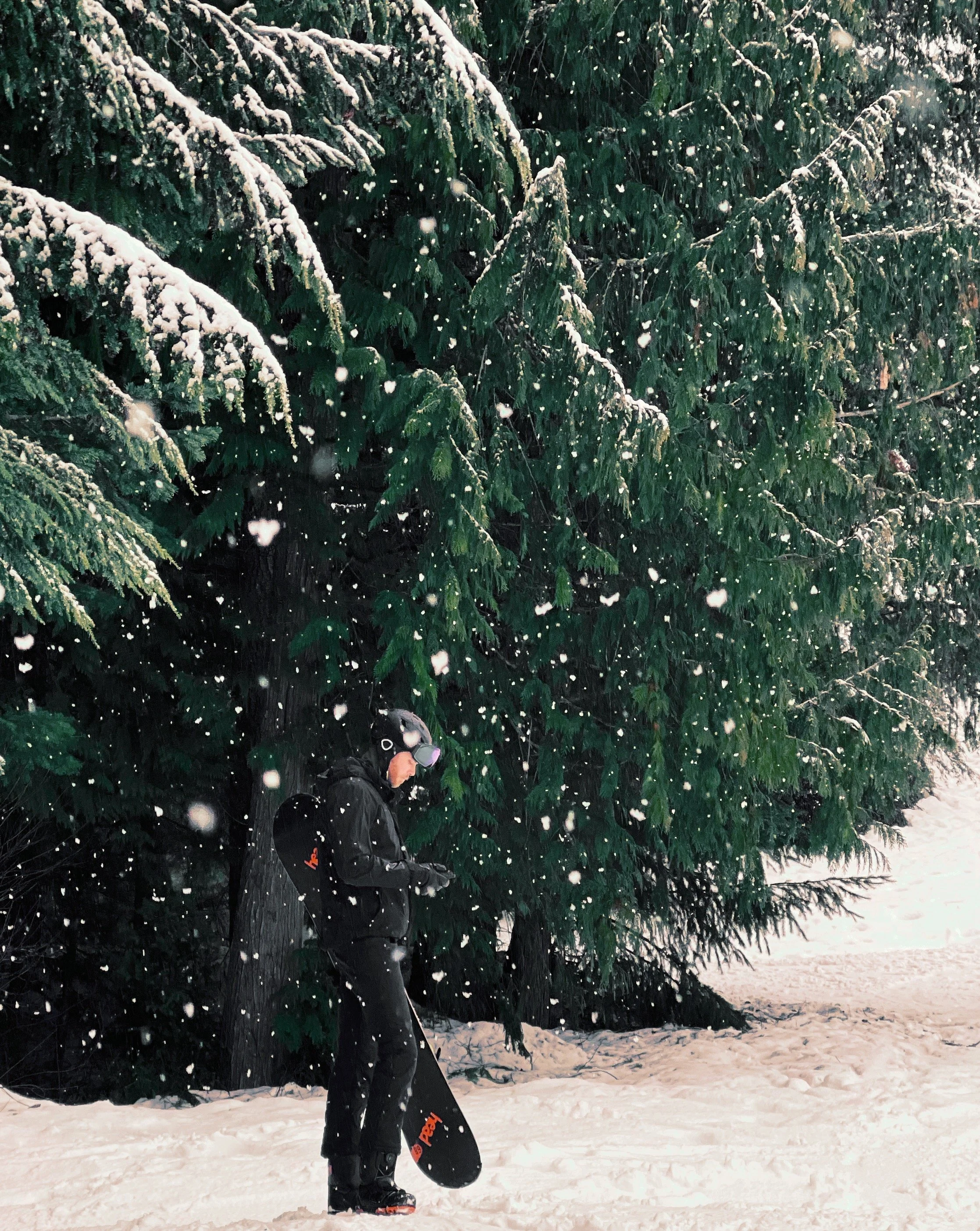 FullSizeRender 42.jpg