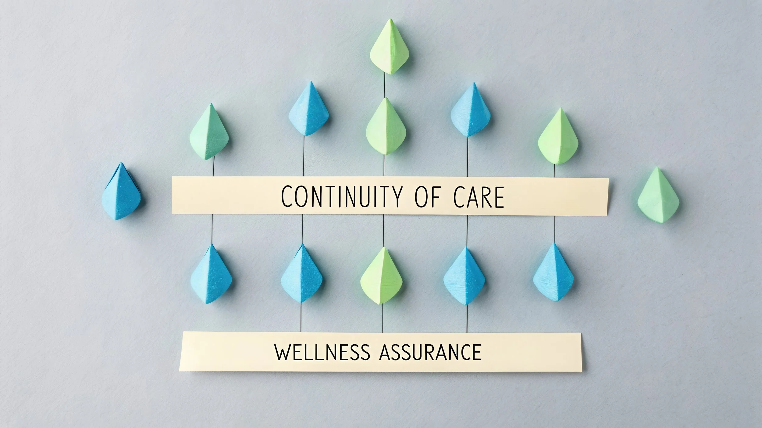 Colorful wellness display representing continuity of care.