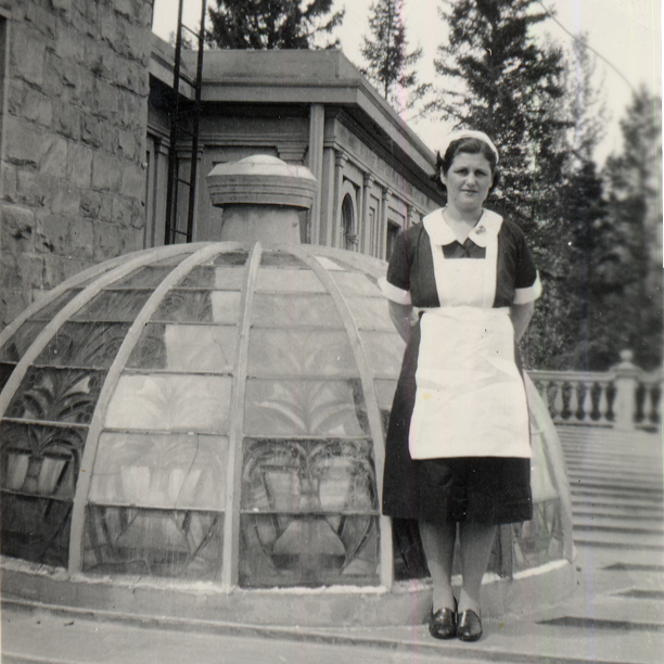The Dome and Dominion-Provincial Youth