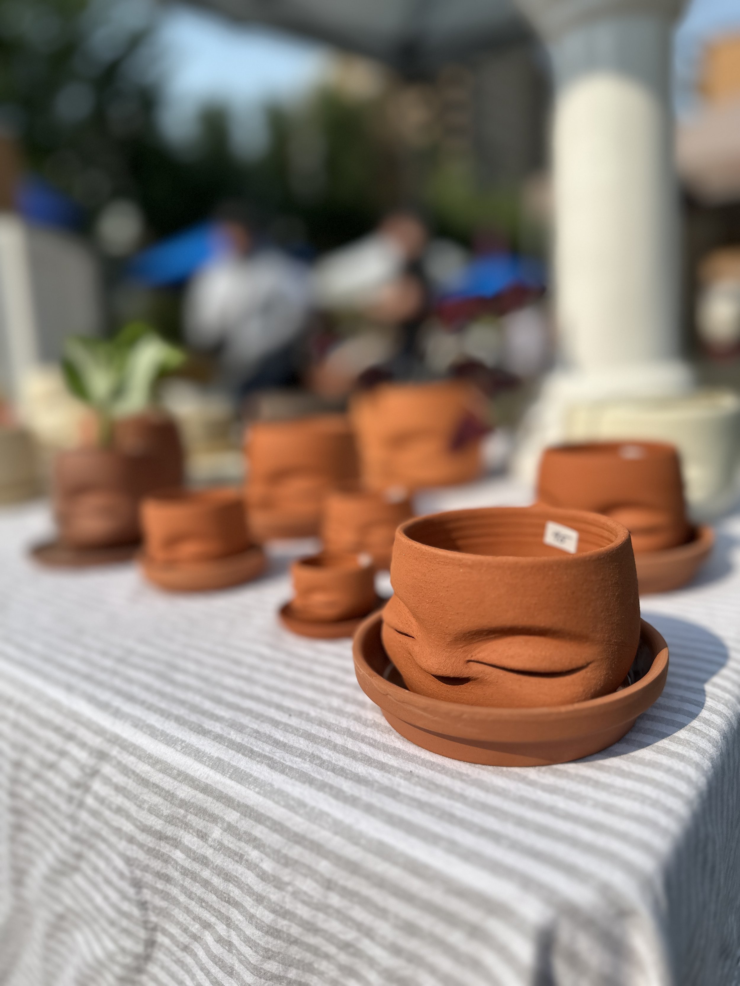 Clay plant pots