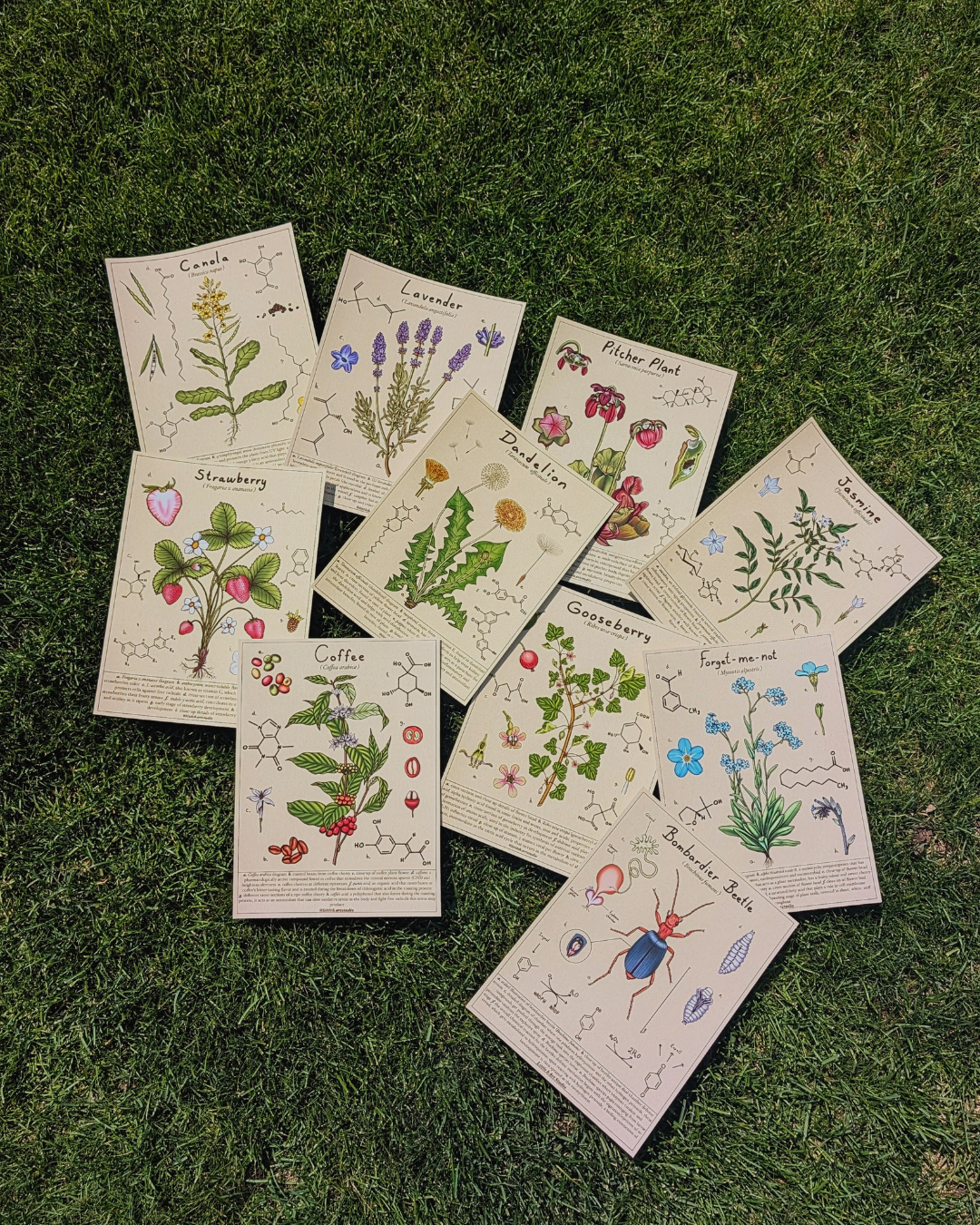Little b Art Studio