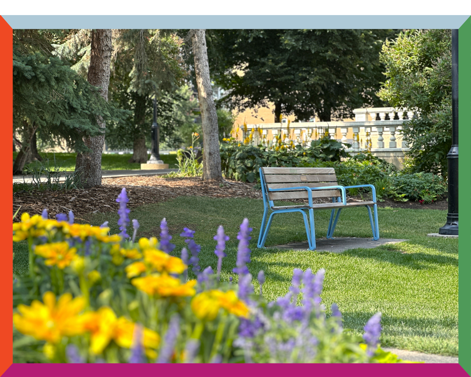 Blue bench amongst the flowers of beaulieu gardens