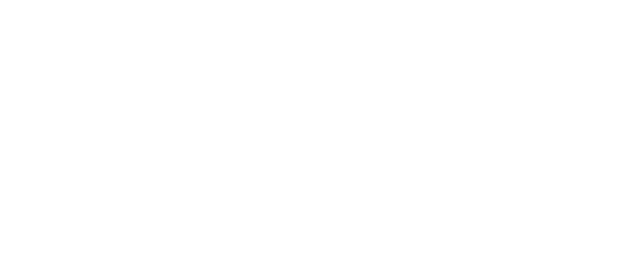 Basketball Travelers