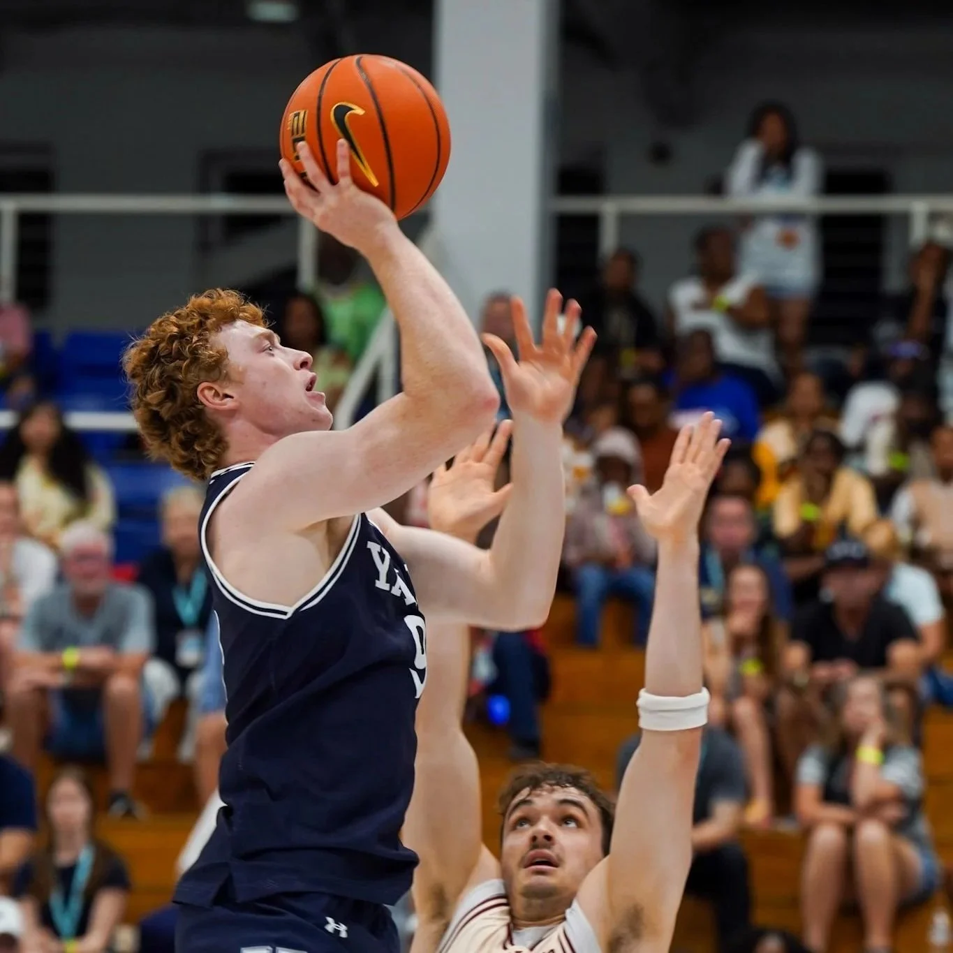 WhatsApp Image 2025-11-23 at 7.45.50 PM.jpg