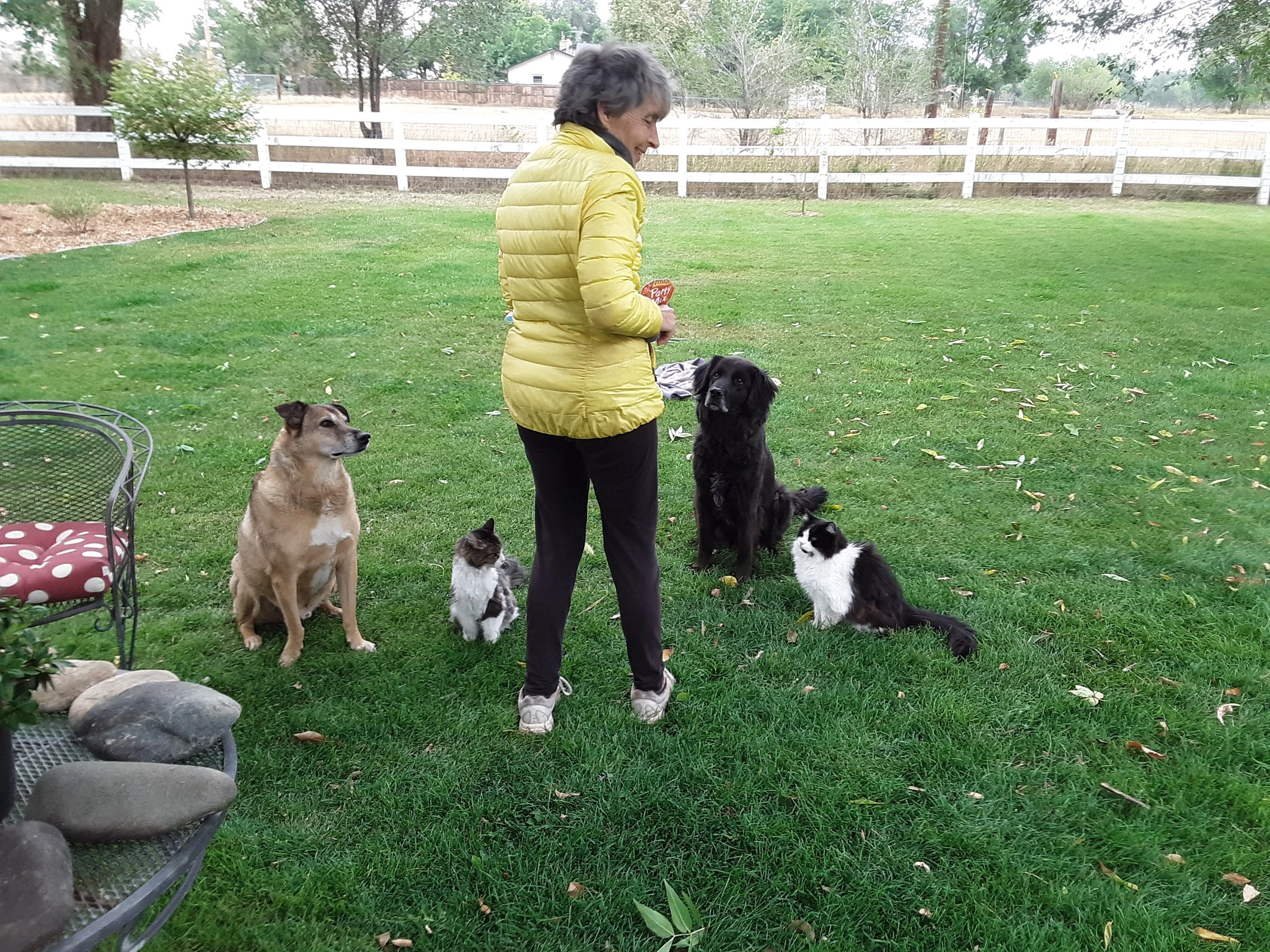 Socialization is Key!