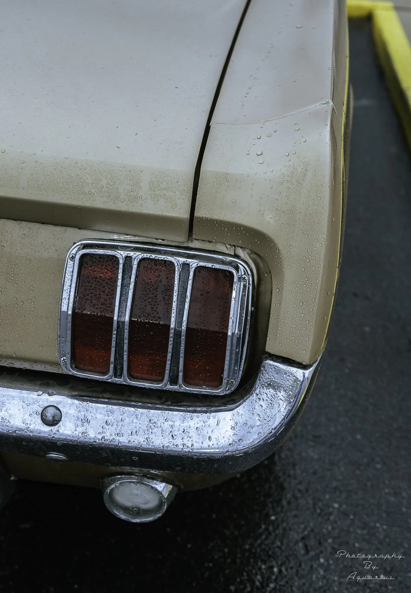 _MG_9311.jpg