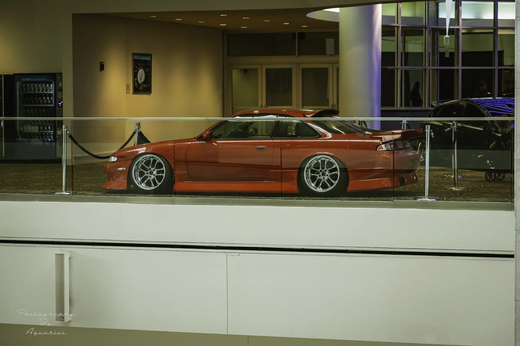 _MG_9545.jpg