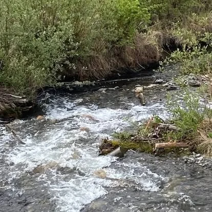 A calm street in summer