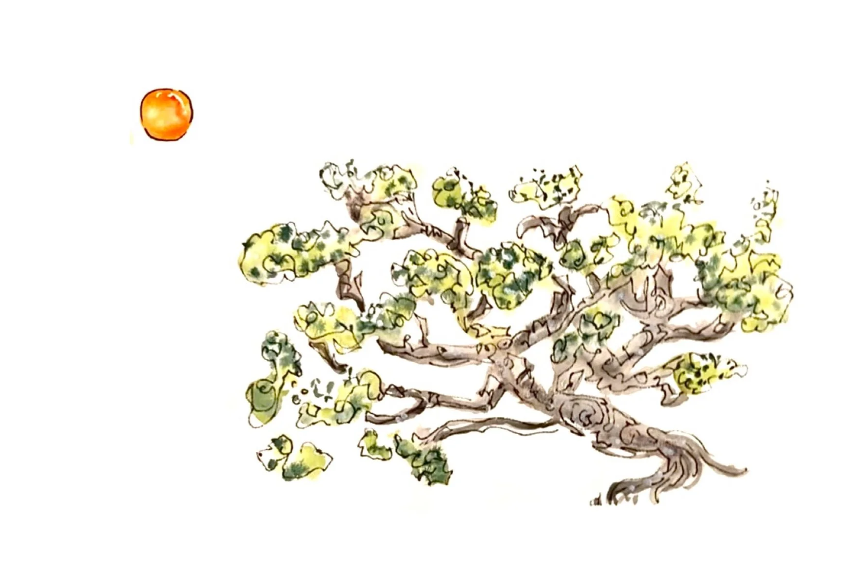 result_image+71.png