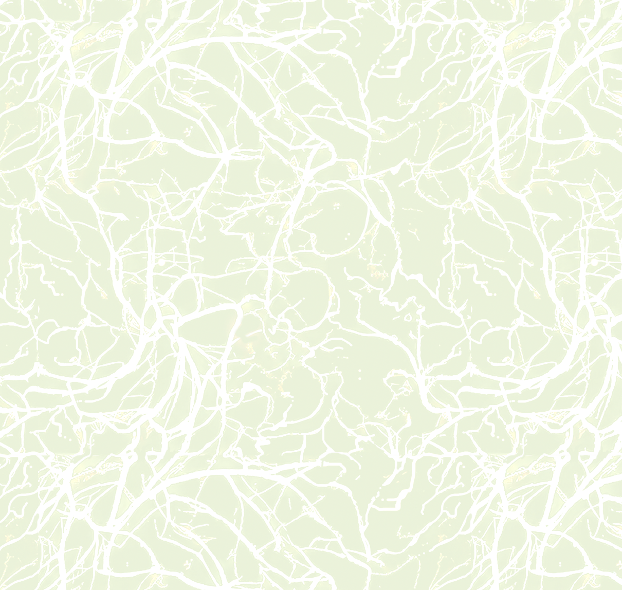 Roots Pattern, for "Echoes of Soul," photoshop & watercolor, 2025