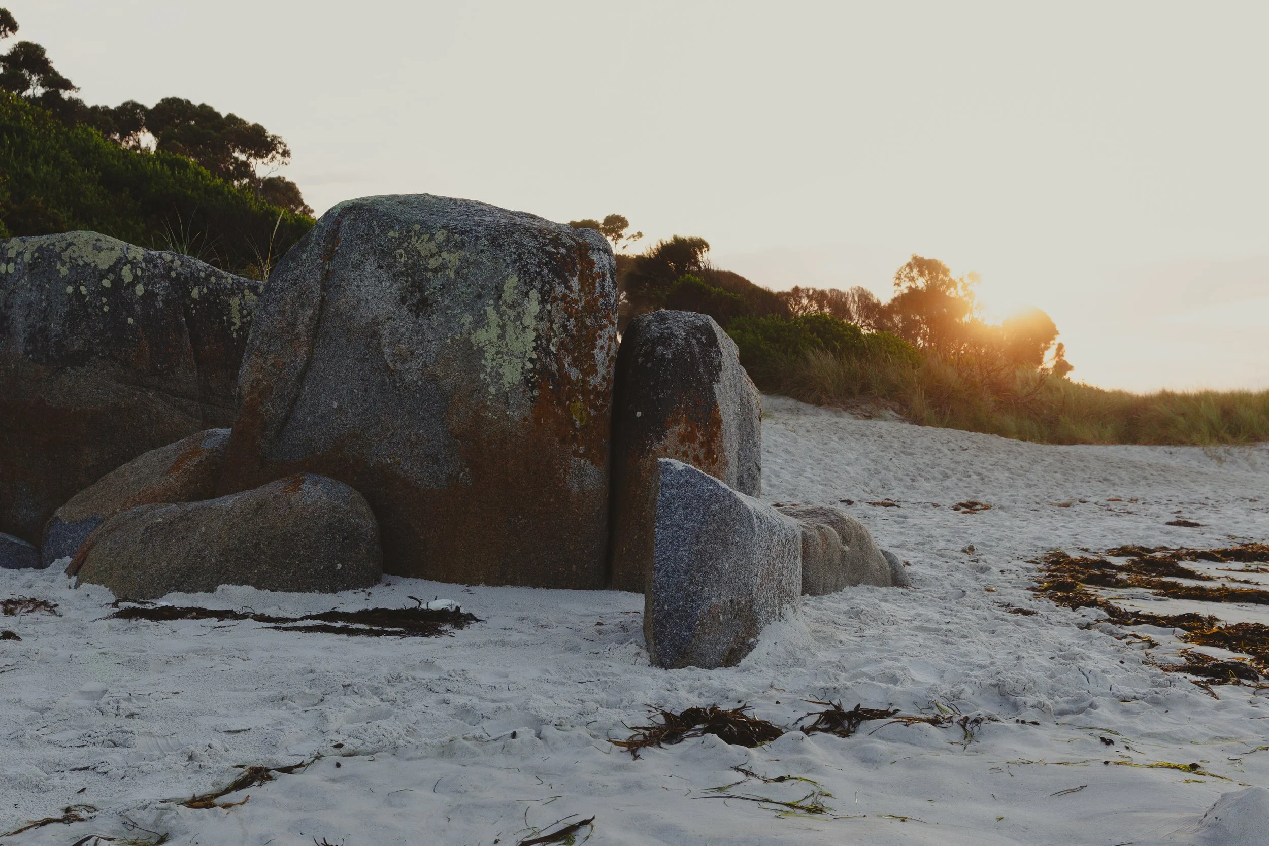 Large rocks on a sandy beach with seaweed, with bushes and trees in the background, and the sun setting on the horizon.