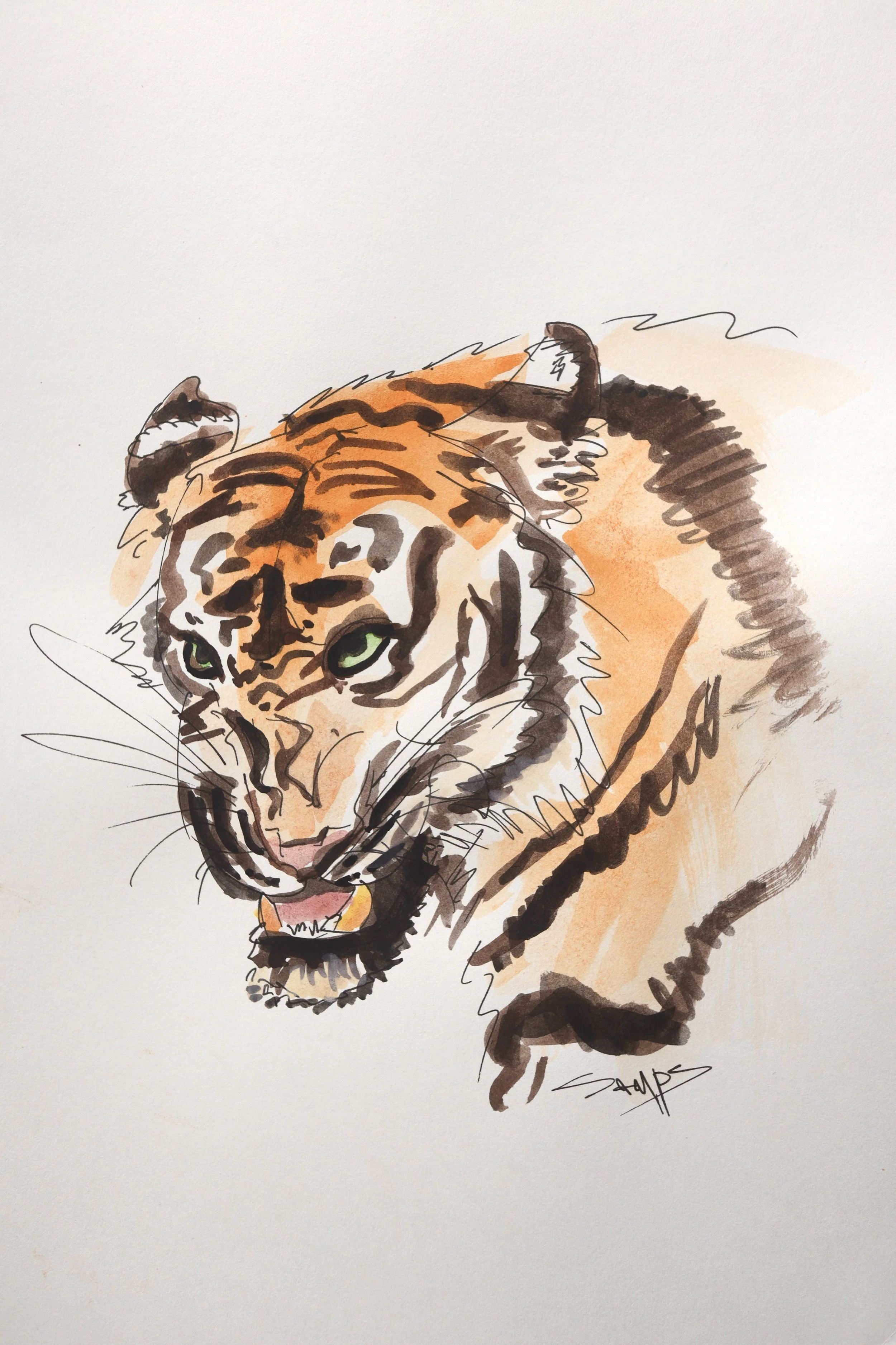tiger 1_watercolour.jpg
