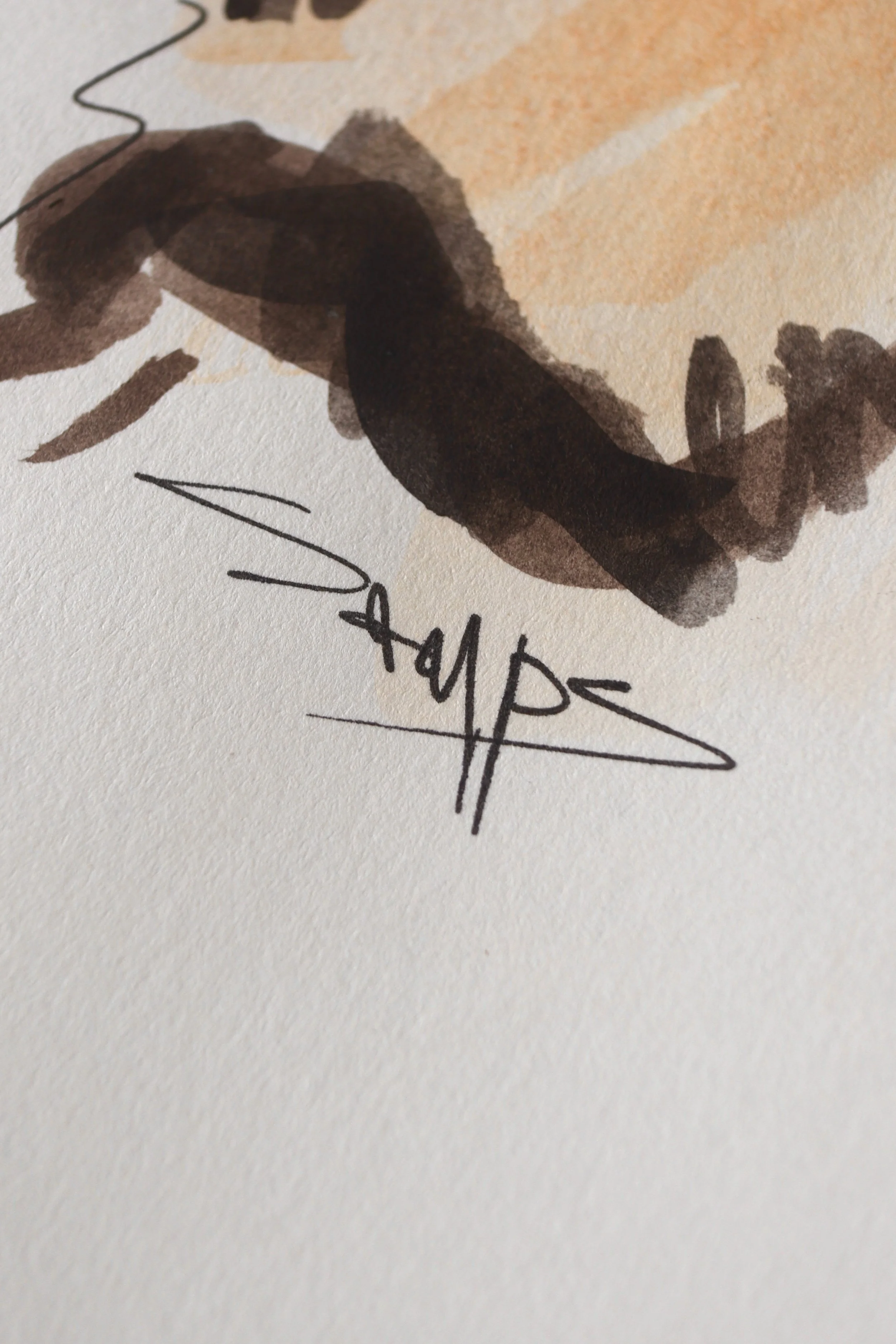 tiger 4_watercolour..jpg