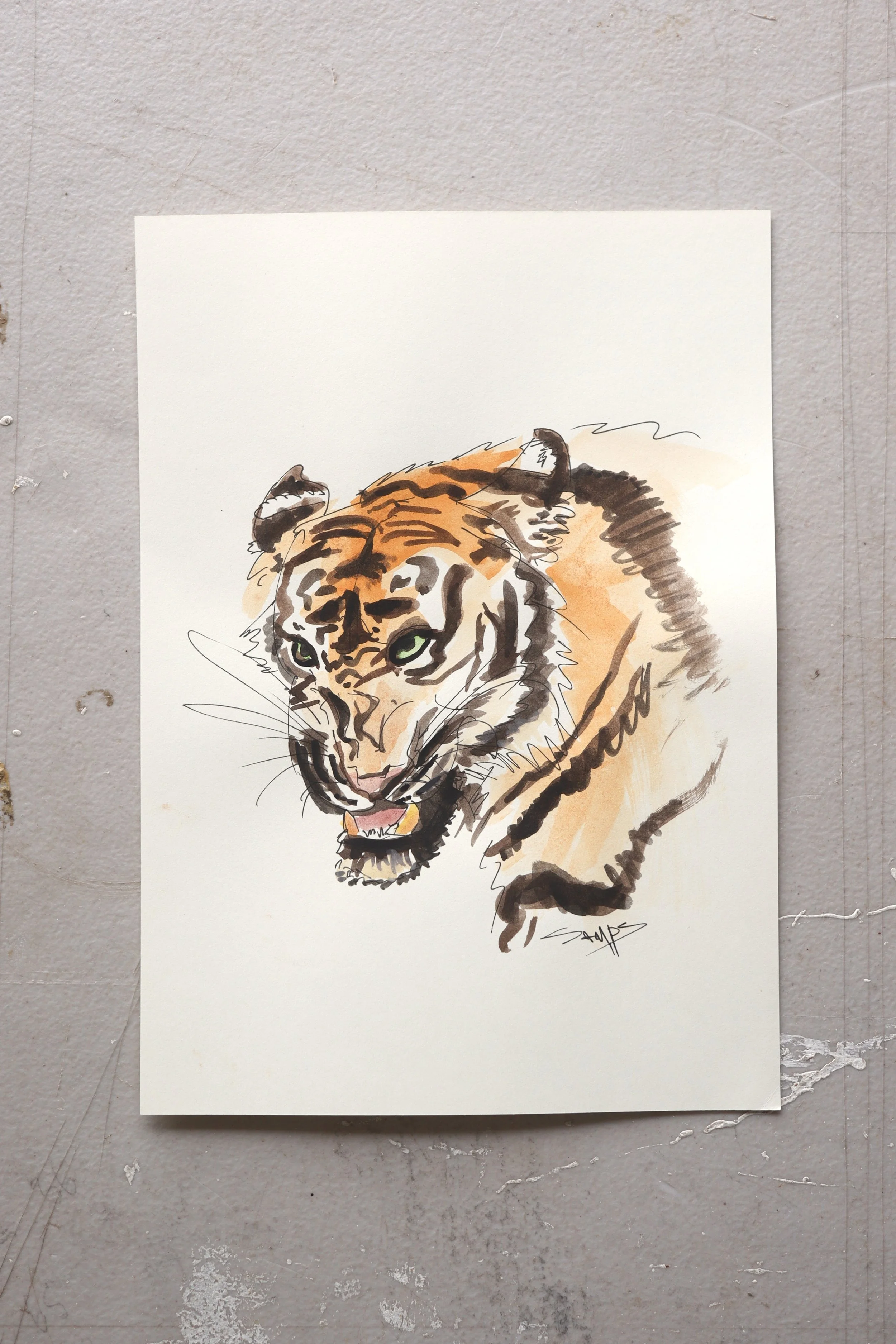 tiger 3_watercolour..jpg