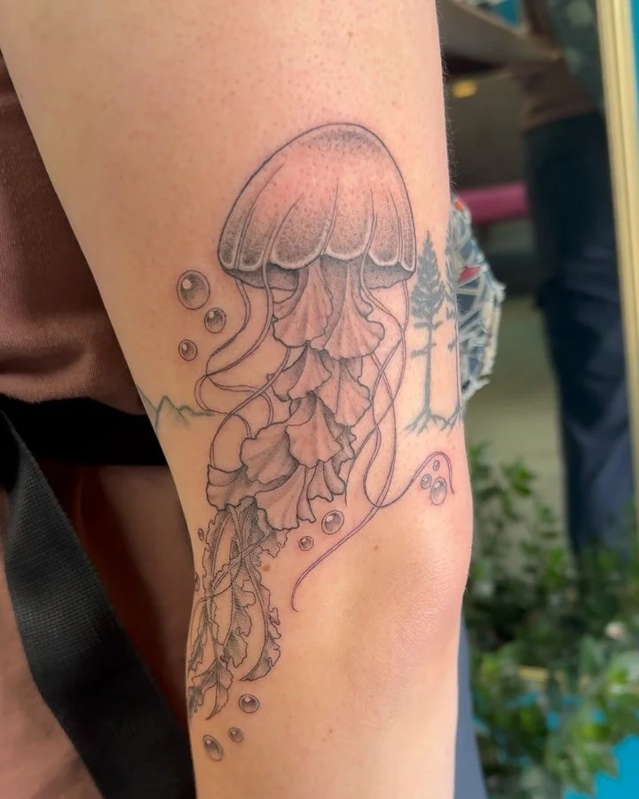 A funky little jellyfish 🪼 done by Akiko @akikoworkart 
.
.
.
#jellyfishtattoo #jellyfish #oceantattoo