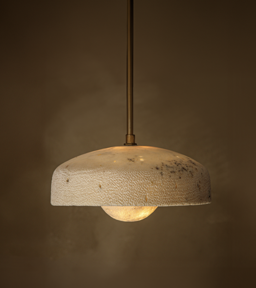 Fossil Coral Pearl Pendant