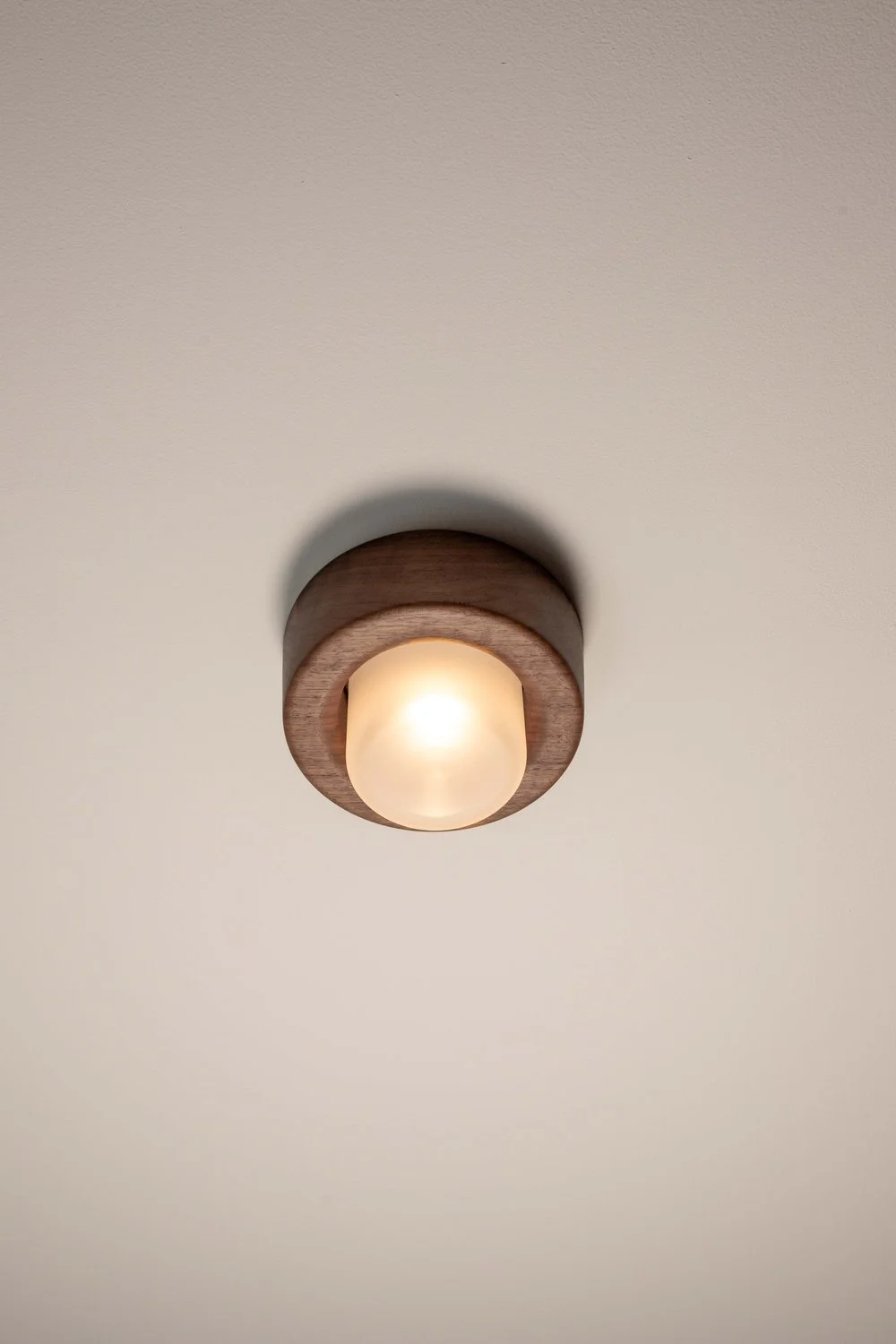 Prose Ceiling Light