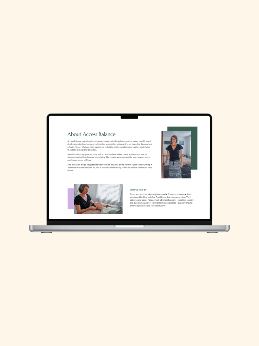 Access Balance Website Desktop Version