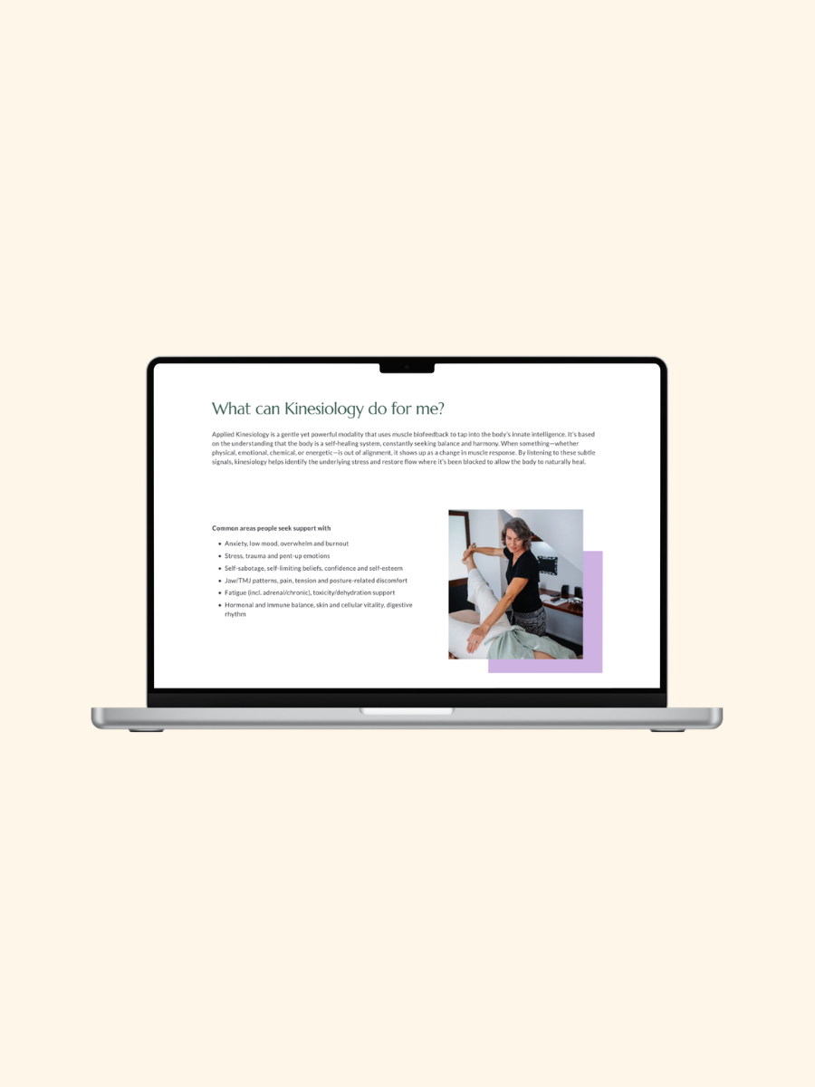 Access Balance Website Desktop Version