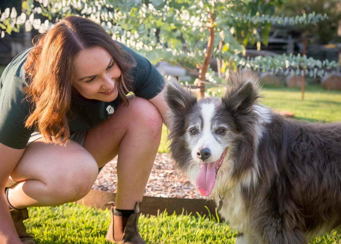 This guy deserves a spot on the grid. My first born. My biggest boy. My shadow. 

Buzz has been by my side through a lot and he&rsquo;s never short on licks, pats and making sure I don&rsquo;t miss his 5pm dinner time. 

Dog lovers know the hold our 