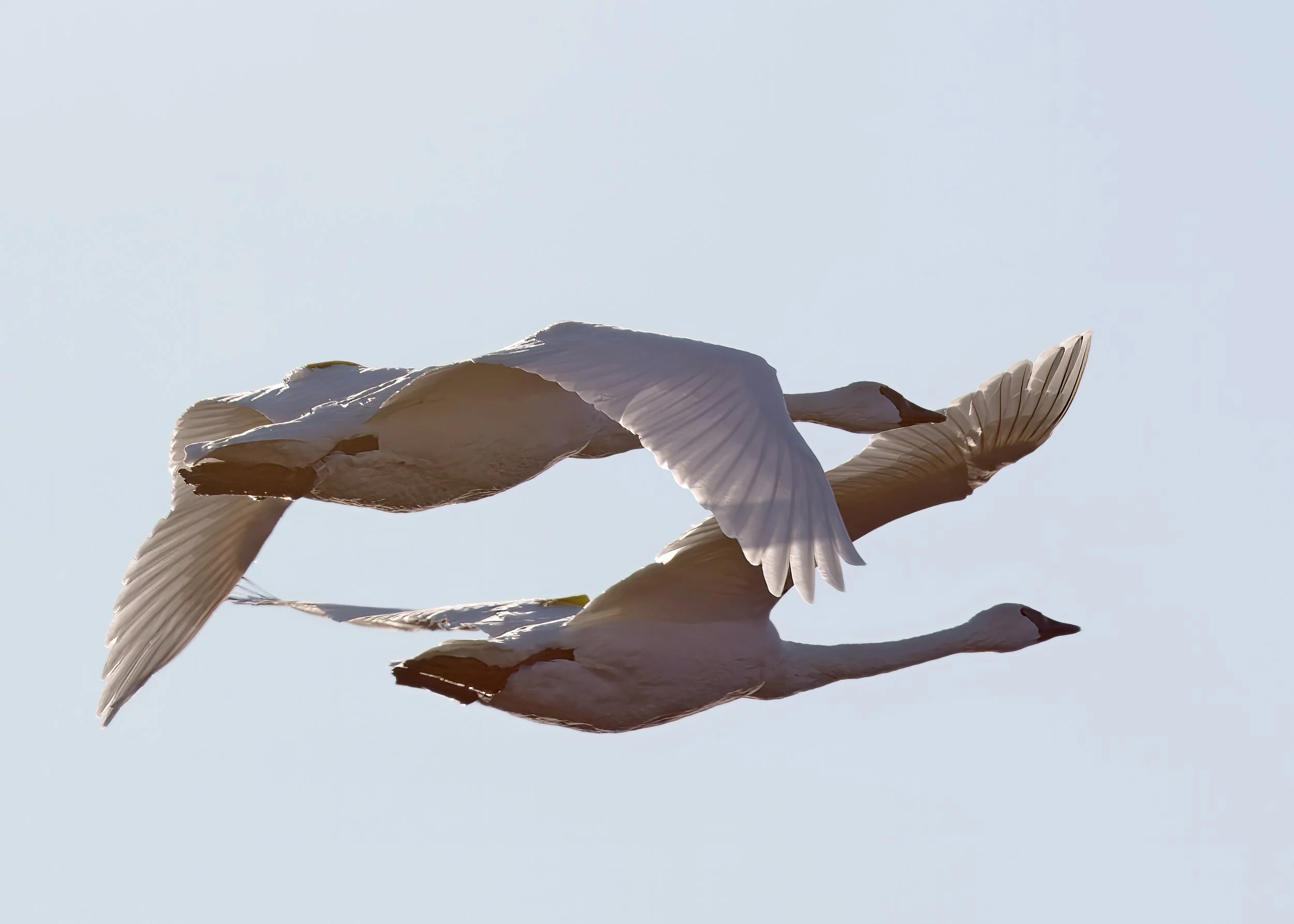 Tommy Thompson Park