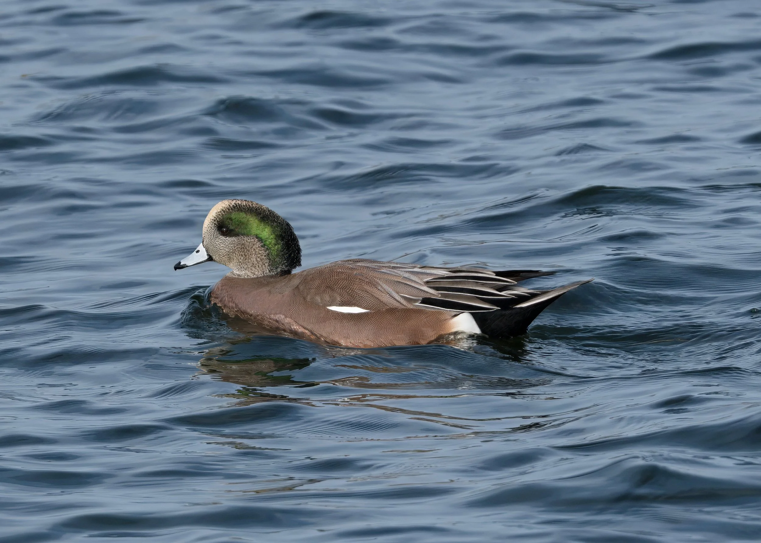 Tommy Thompson Park