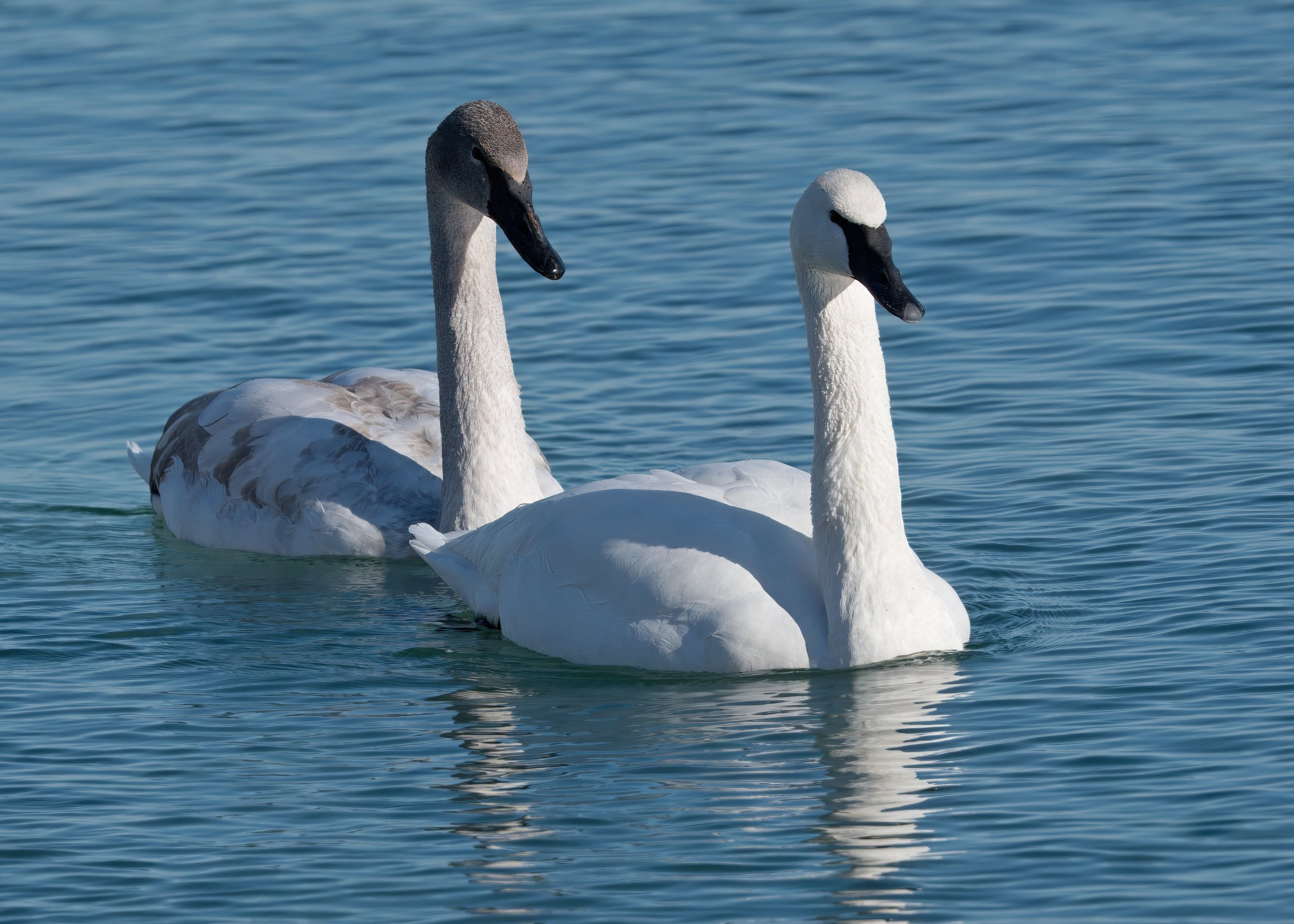 Tommy Thompson Park