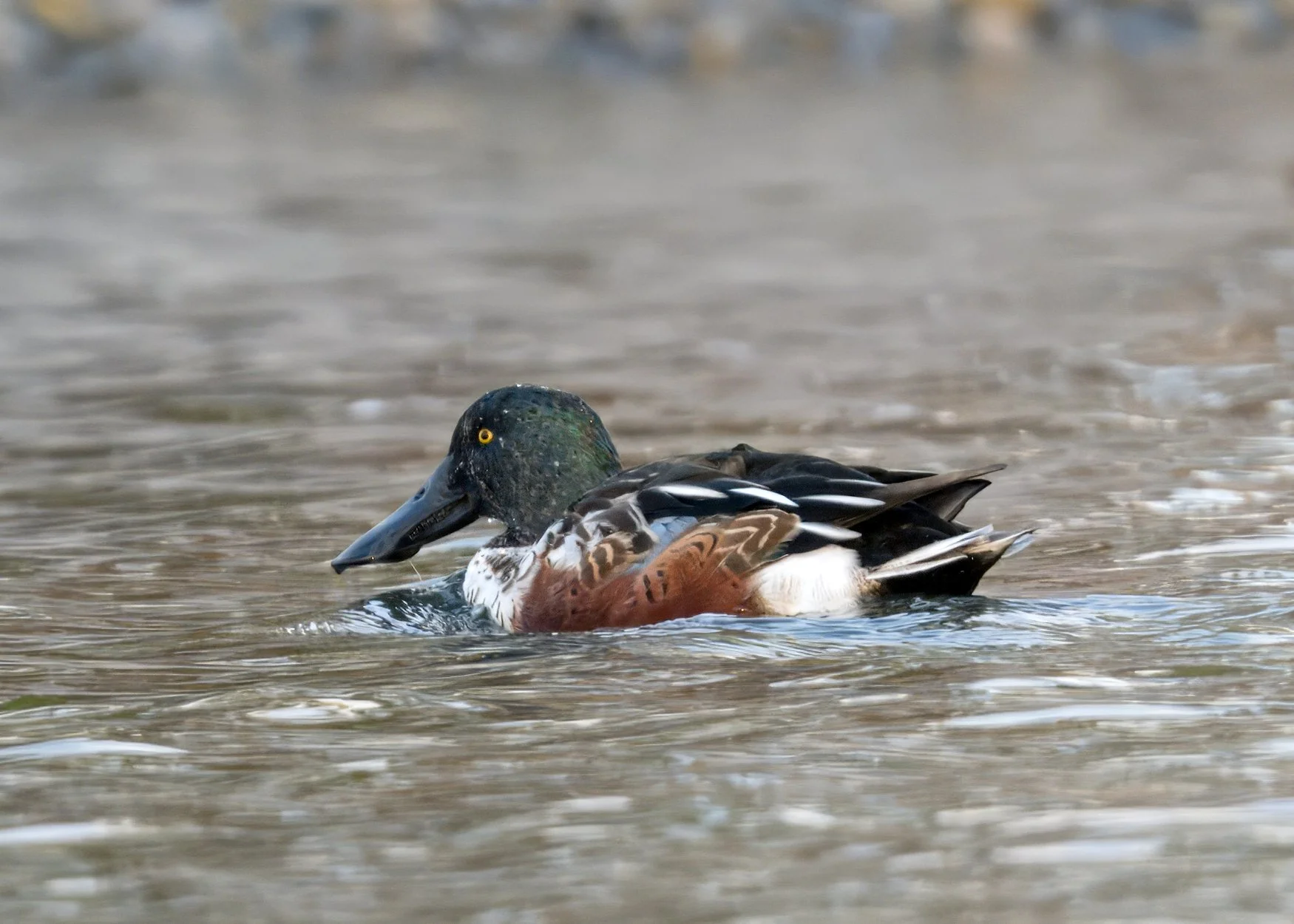 Tommy Thompson Park