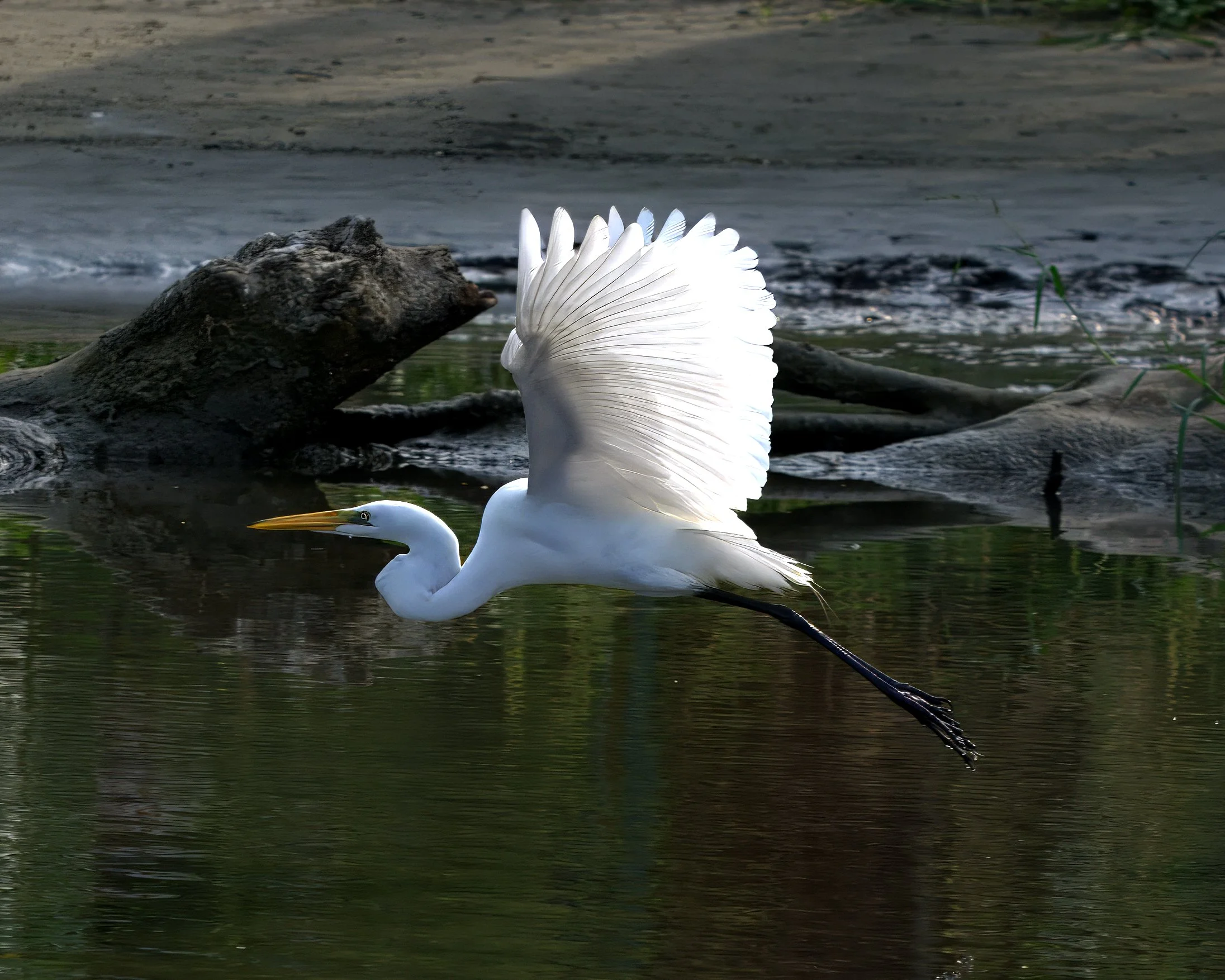 _DSC0183-xxxx.jpg