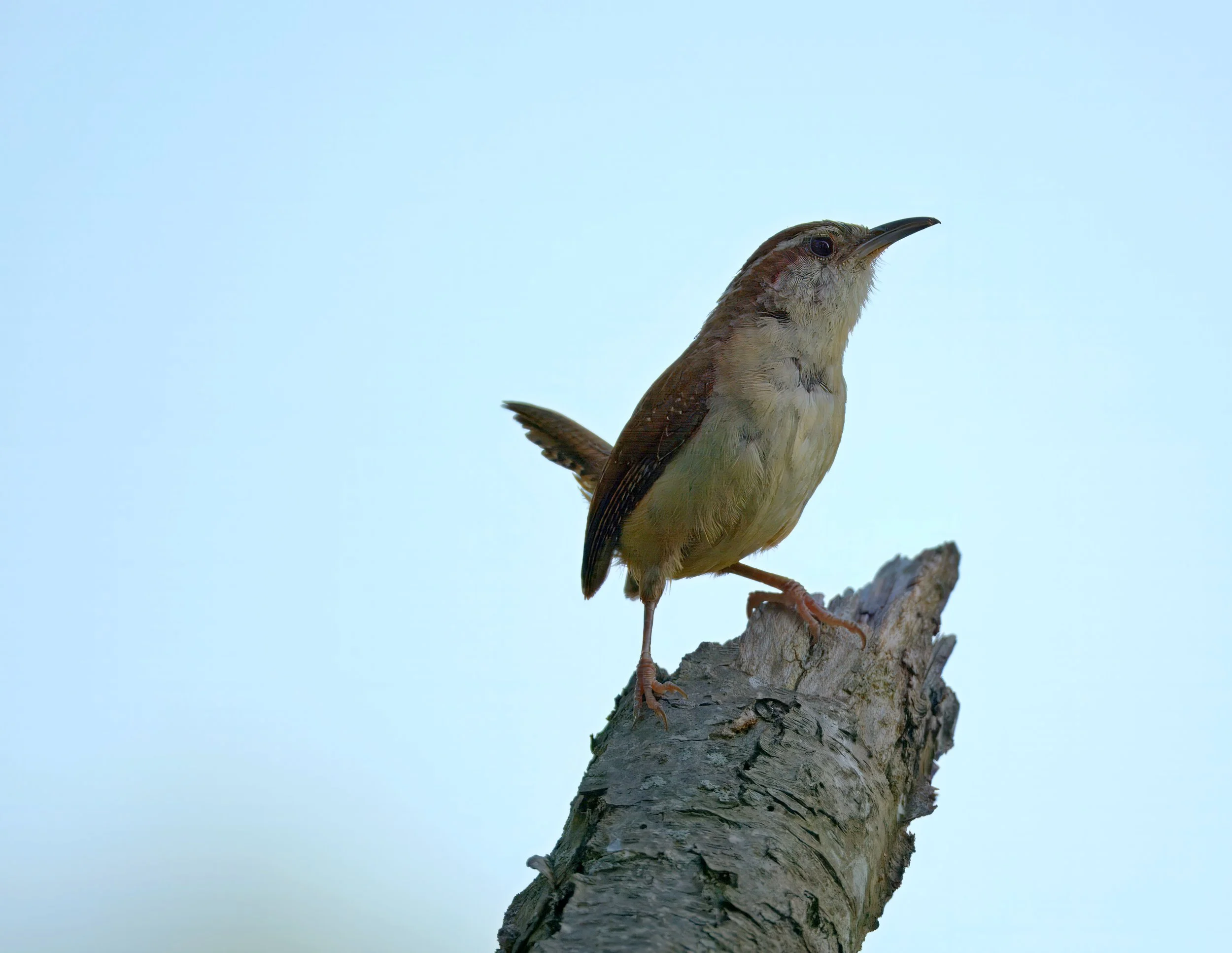 _D711098- 4.jpg