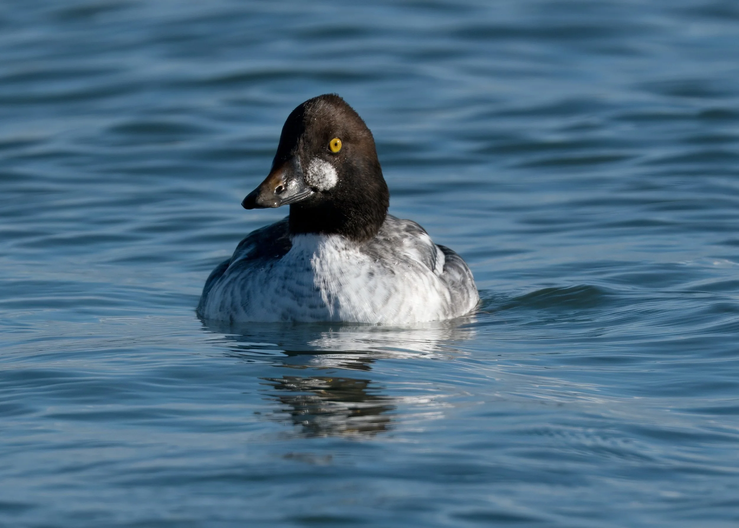 Tommy Thompson Park