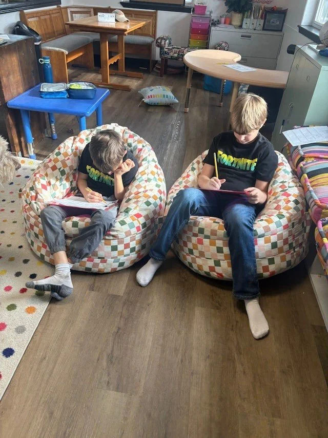 Fostering a love for learning, providing flexibility with what we do (and where we do it!), and creating meaningful engagement with the curriculum. . . that's what we're all about at Soaring Leaners!

Come join our microschool! ✨&darr;
soaringlearner