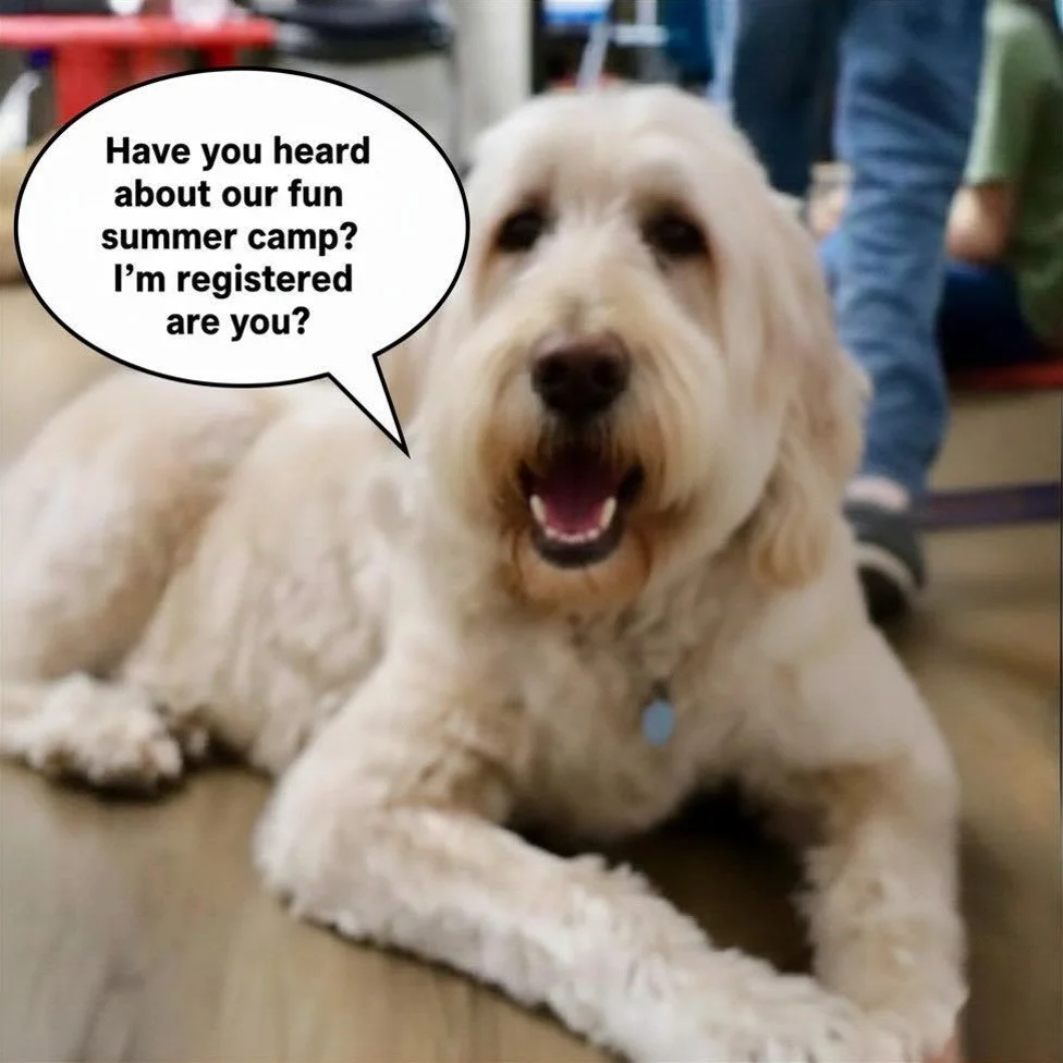 ☀️ Summer is just around the corner, and we are READY! 🎉

Ruby is officially signed up for an action-packed, fun-filled summer camp at Soaring Learners ✨✈️

Looking for a program that blends strong literacy foundations with hands-on STEM adventures?