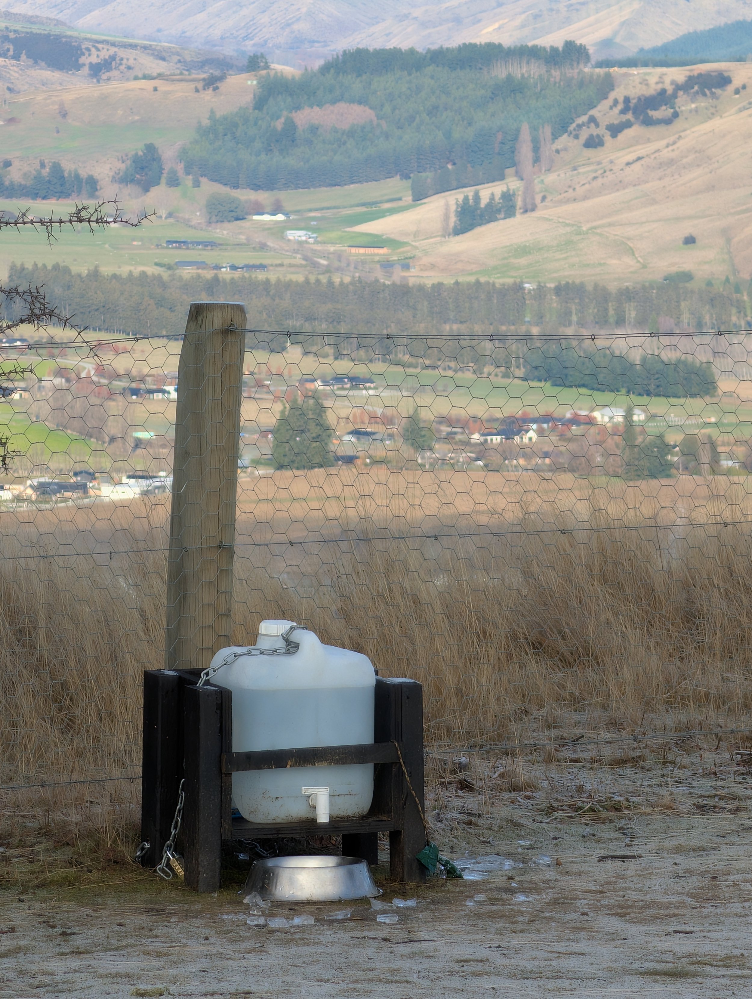 Water dispenser for all the doggos!